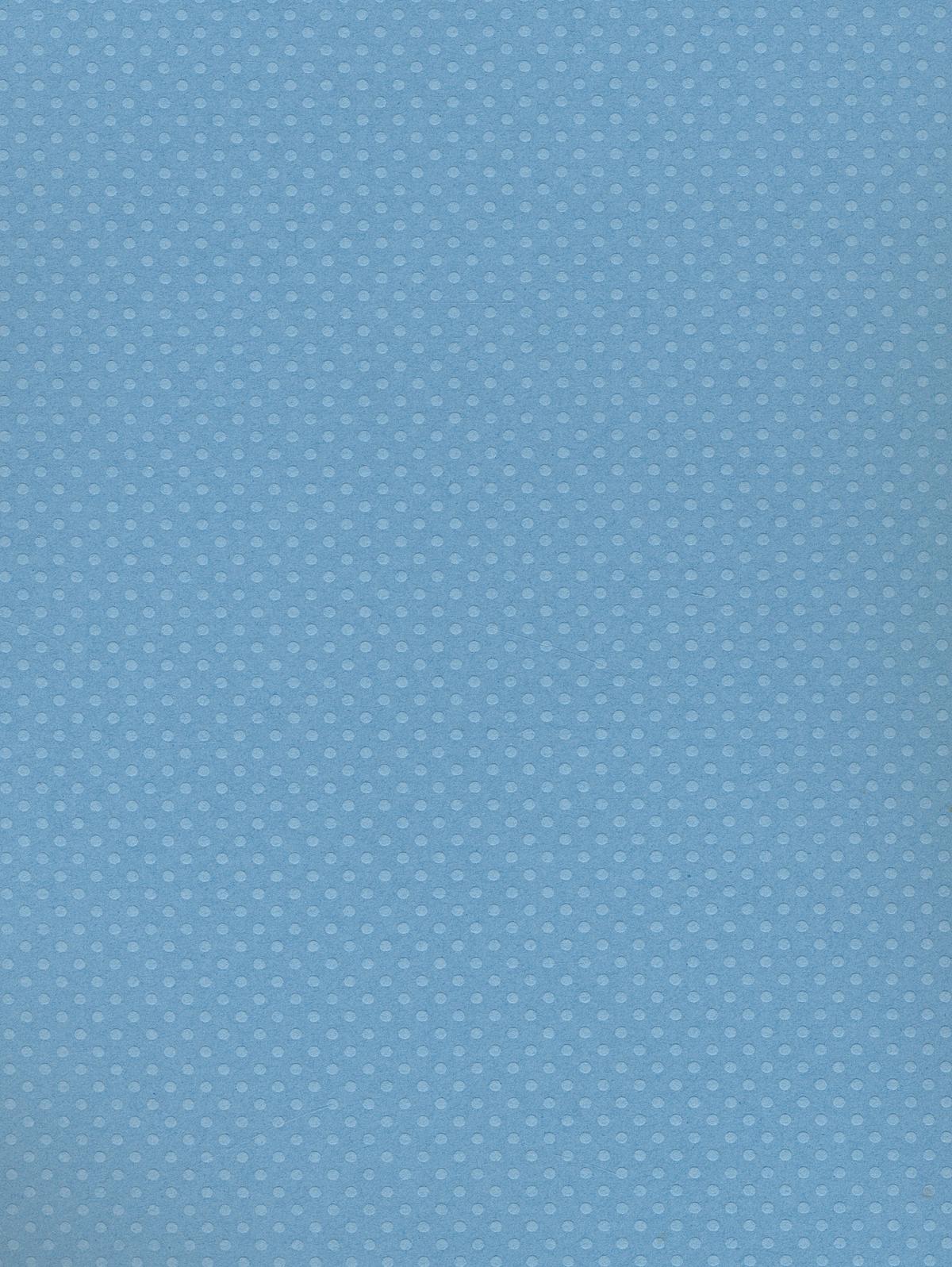 Dotted Swiss 80 Lb. Cardstock 8 1 2 In. X 11 In. Sheet Butter