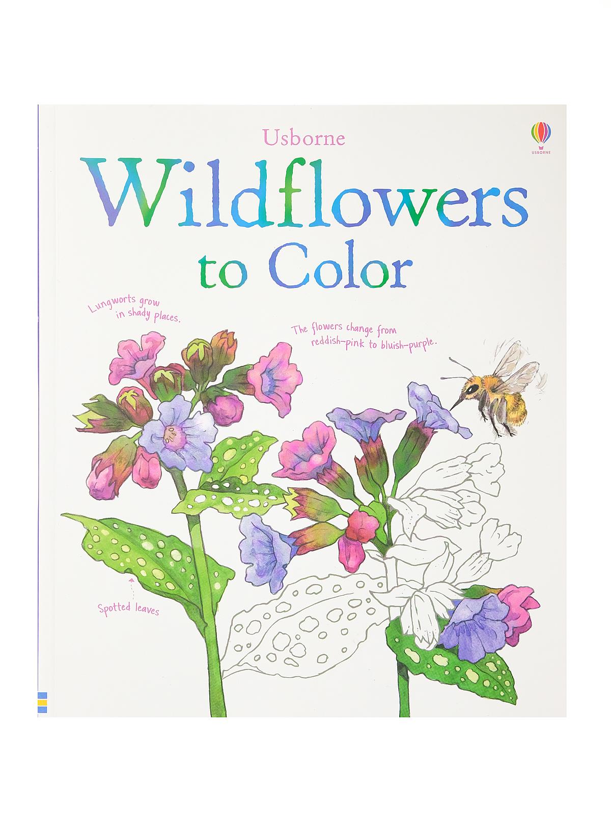 Adult Coloring Books Rainforest To Color