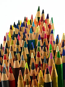Polychromos Artist Colored Pencils  earth green 172