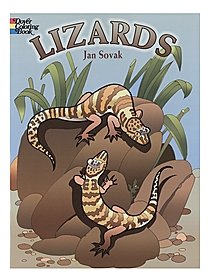 Lizards Coloring Book Lizards Coloring Book