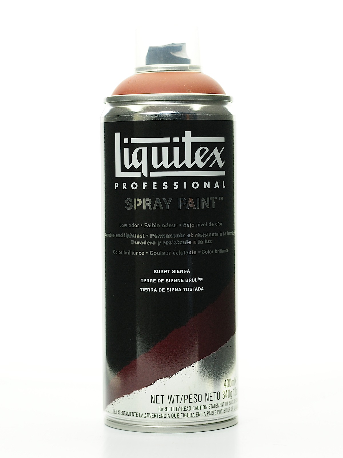 Professional Spray Paint 400 ml (12 oz) burnt sienna