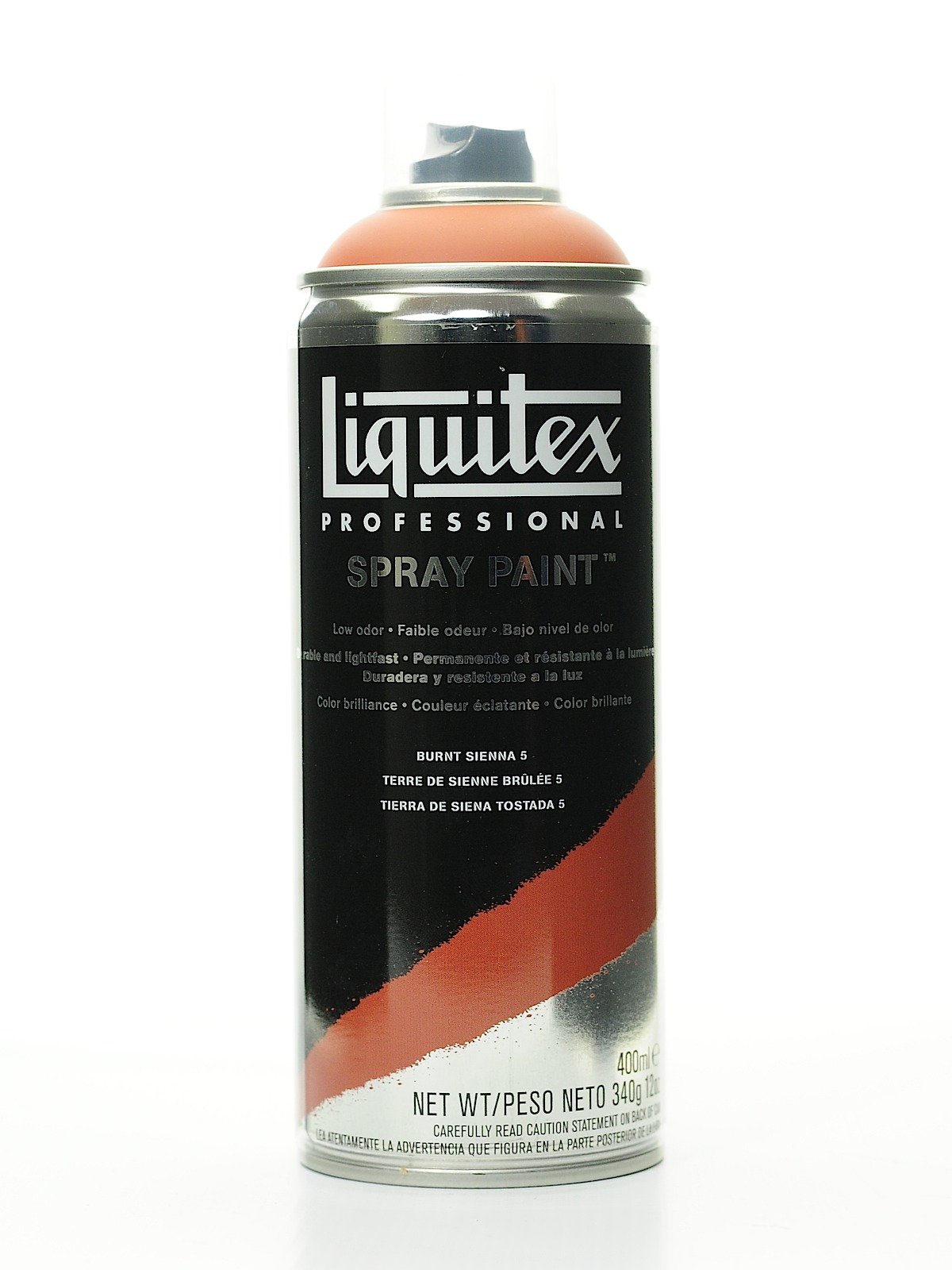 Professional Spray Paint 400 ml (12 oz) burnt sienna 5