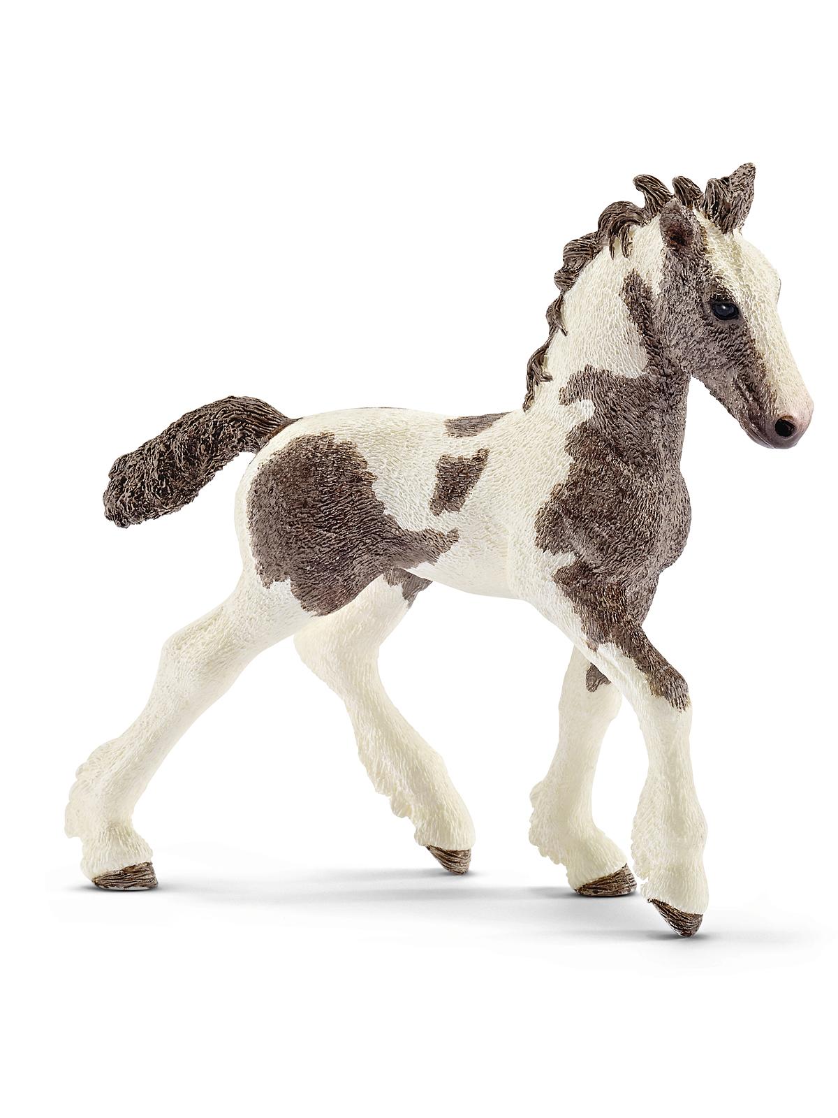 Farm World Animals Tinker Foal