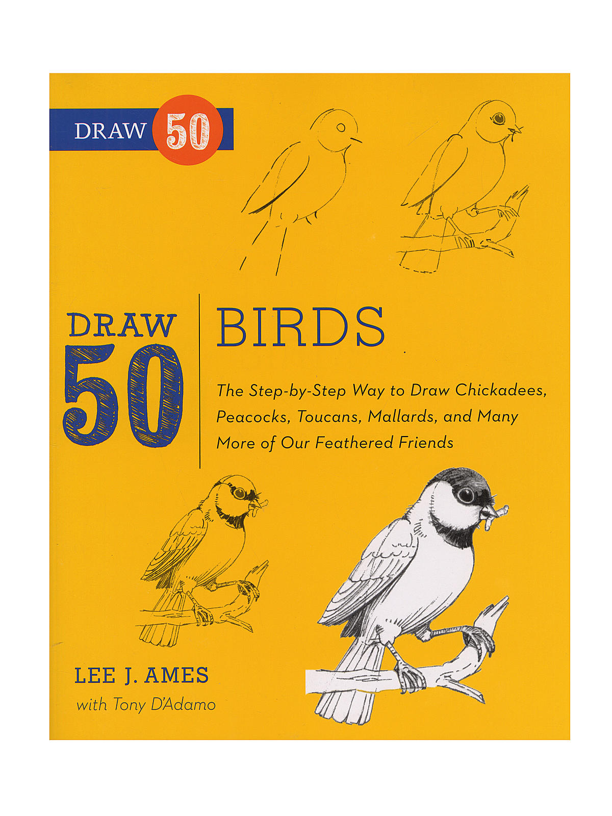 The Draw 50 Series Birds