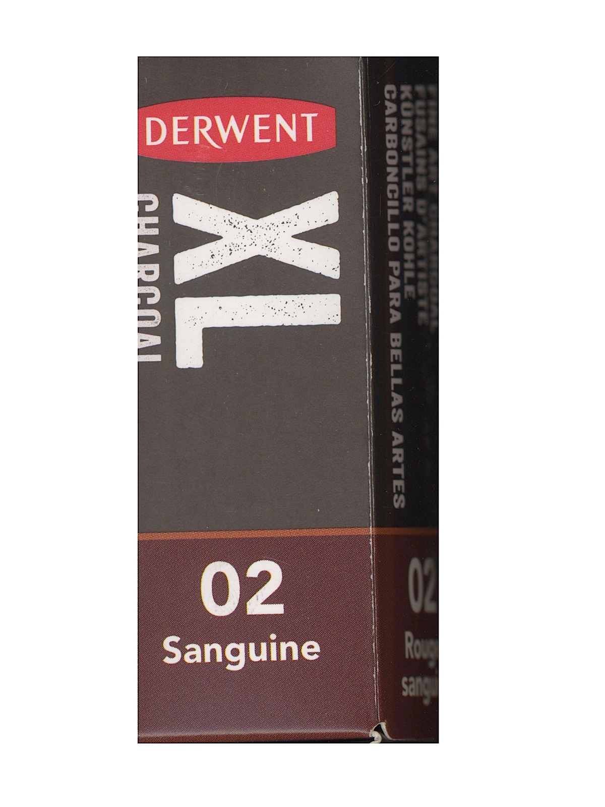 XL Charcoal Blocks sanguine each