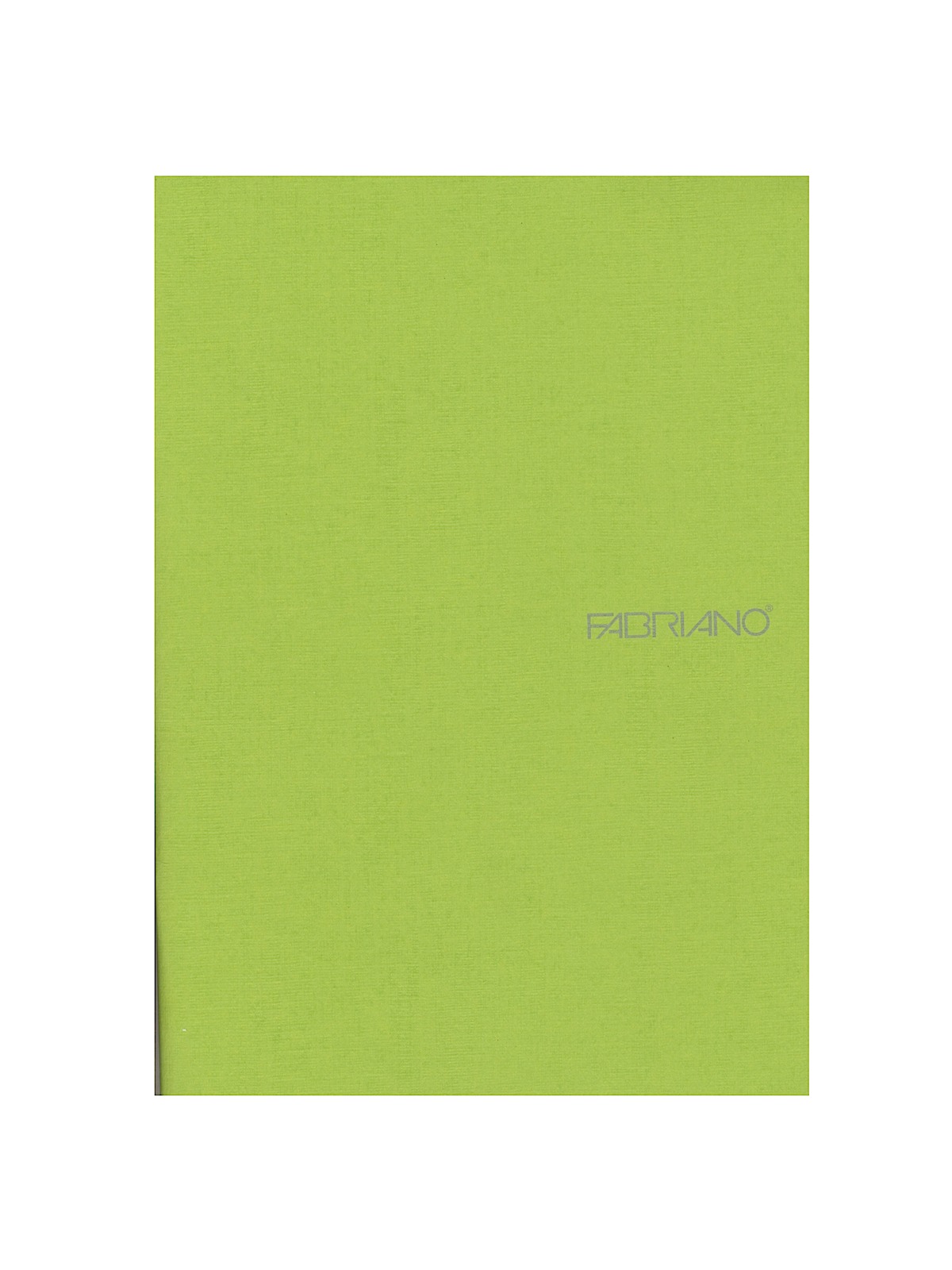 EcoQua Notebooks staplebound blank lime 5.8 in. x 8.25 in.