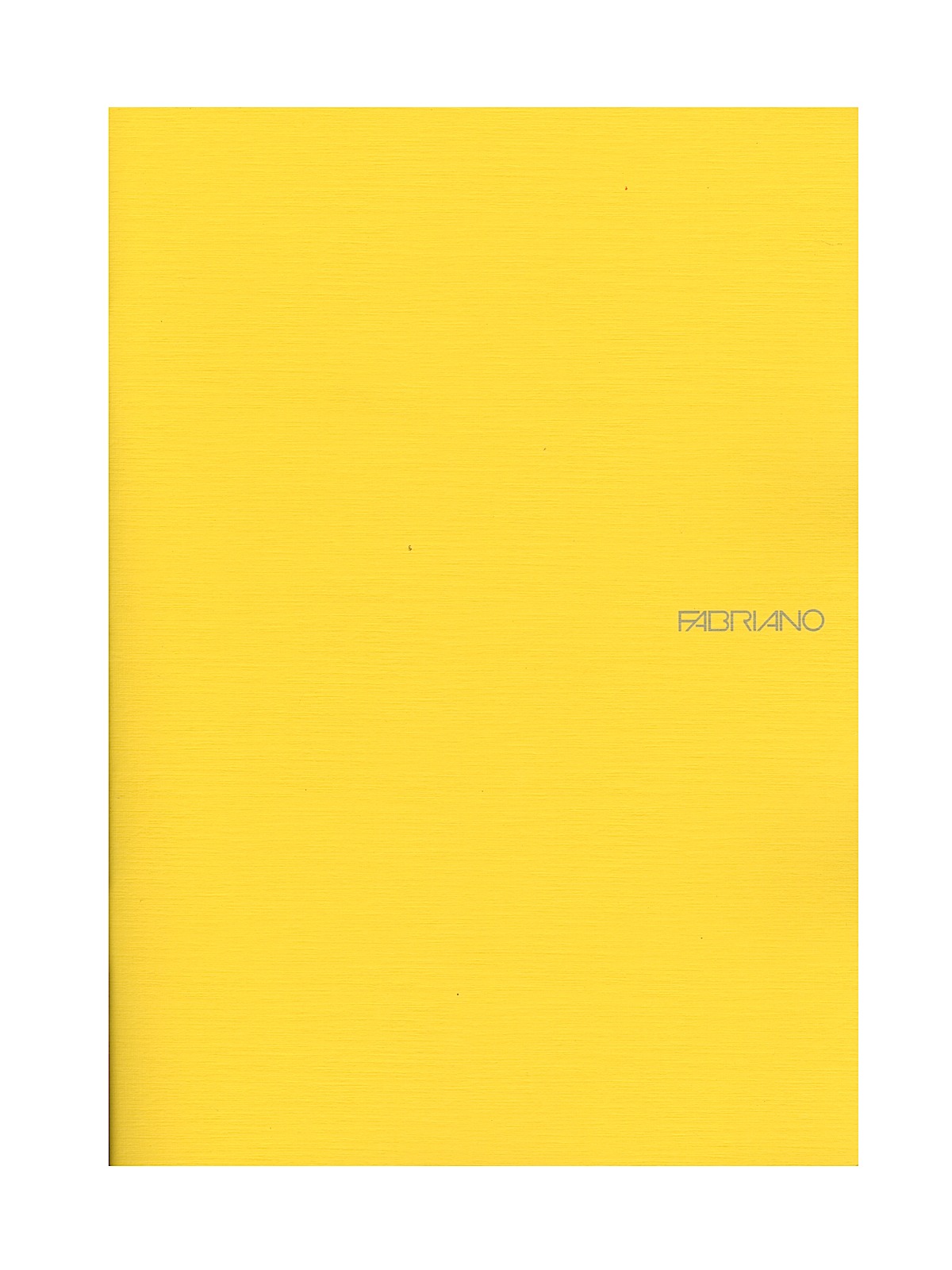 EcoQua Notebooks staplebound blank lemon 8.25 x 11.7 in.