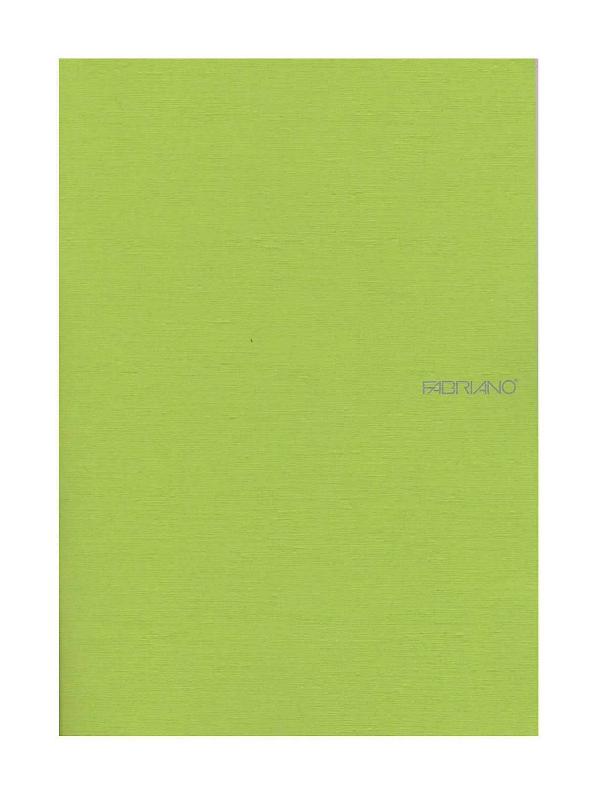 EcoQua Notebooks staplebound blank lime 8.25 x 11.7 in.
