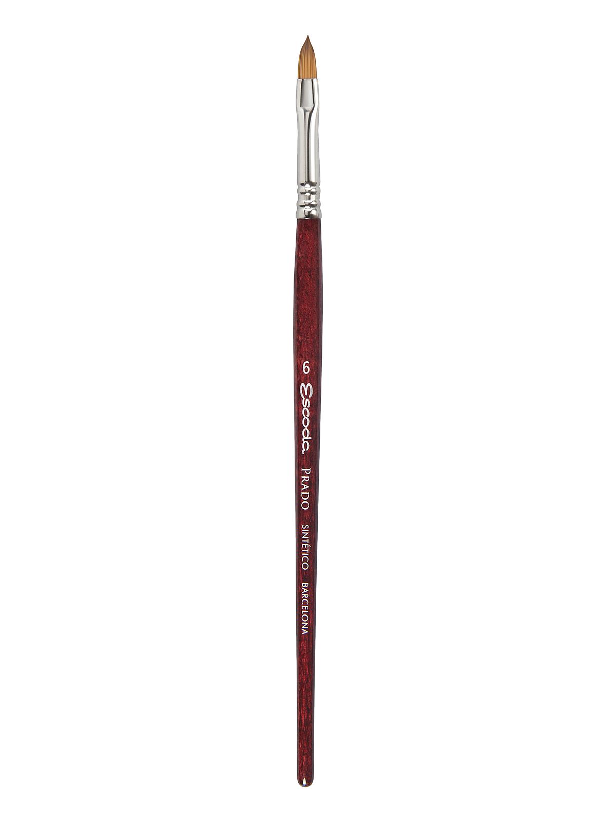 Prado Brushes filbert 6