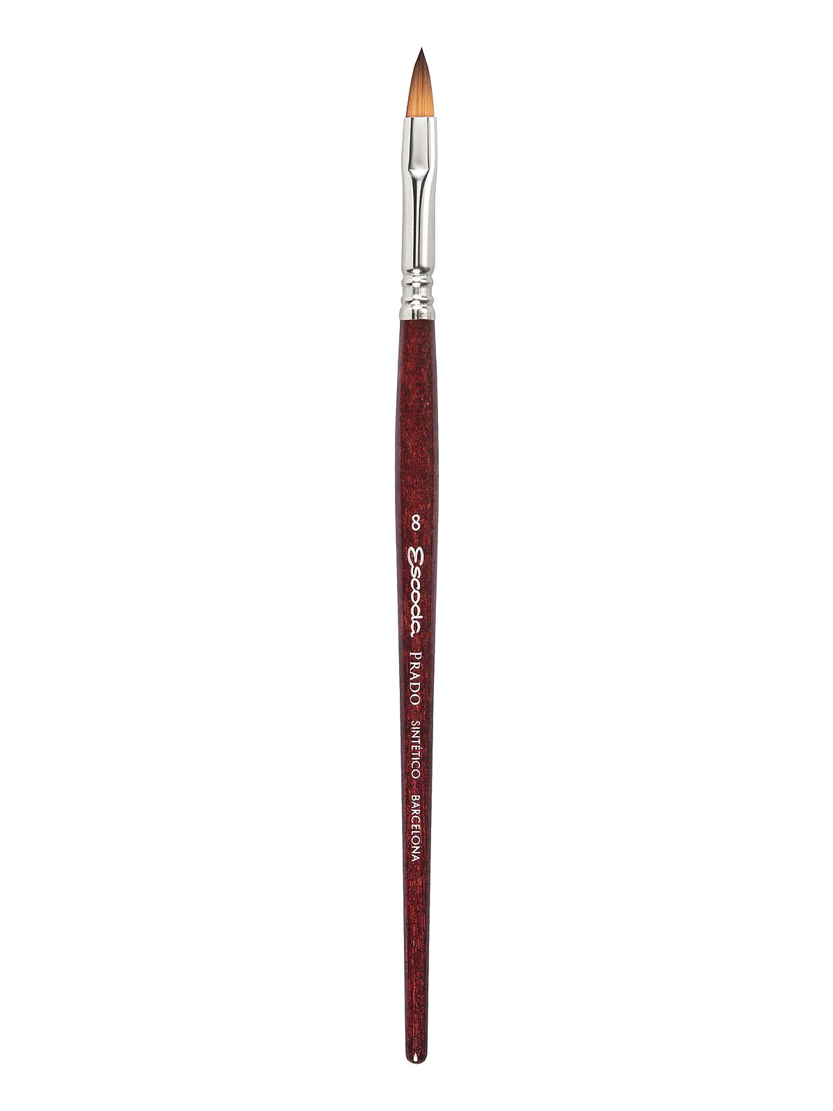 Prado Brushes filbert 8