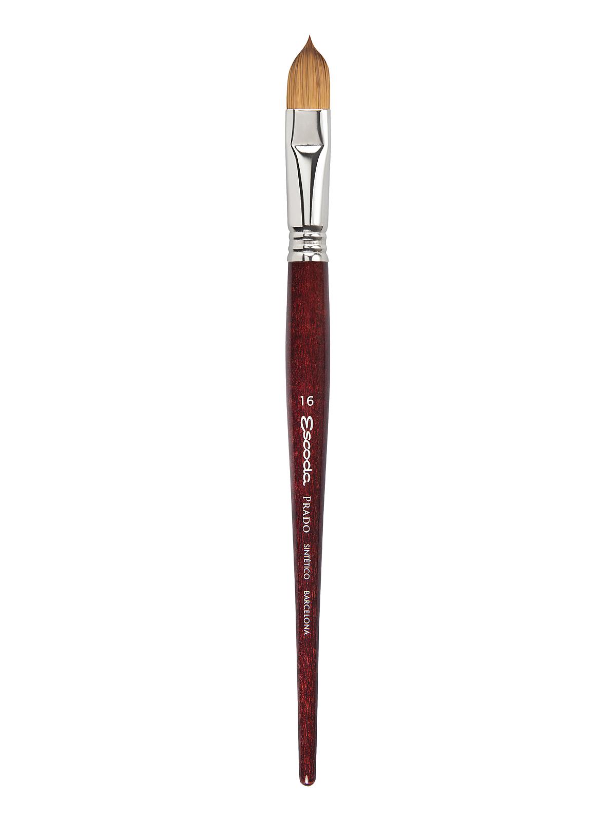 Prado Brushes filbert 16