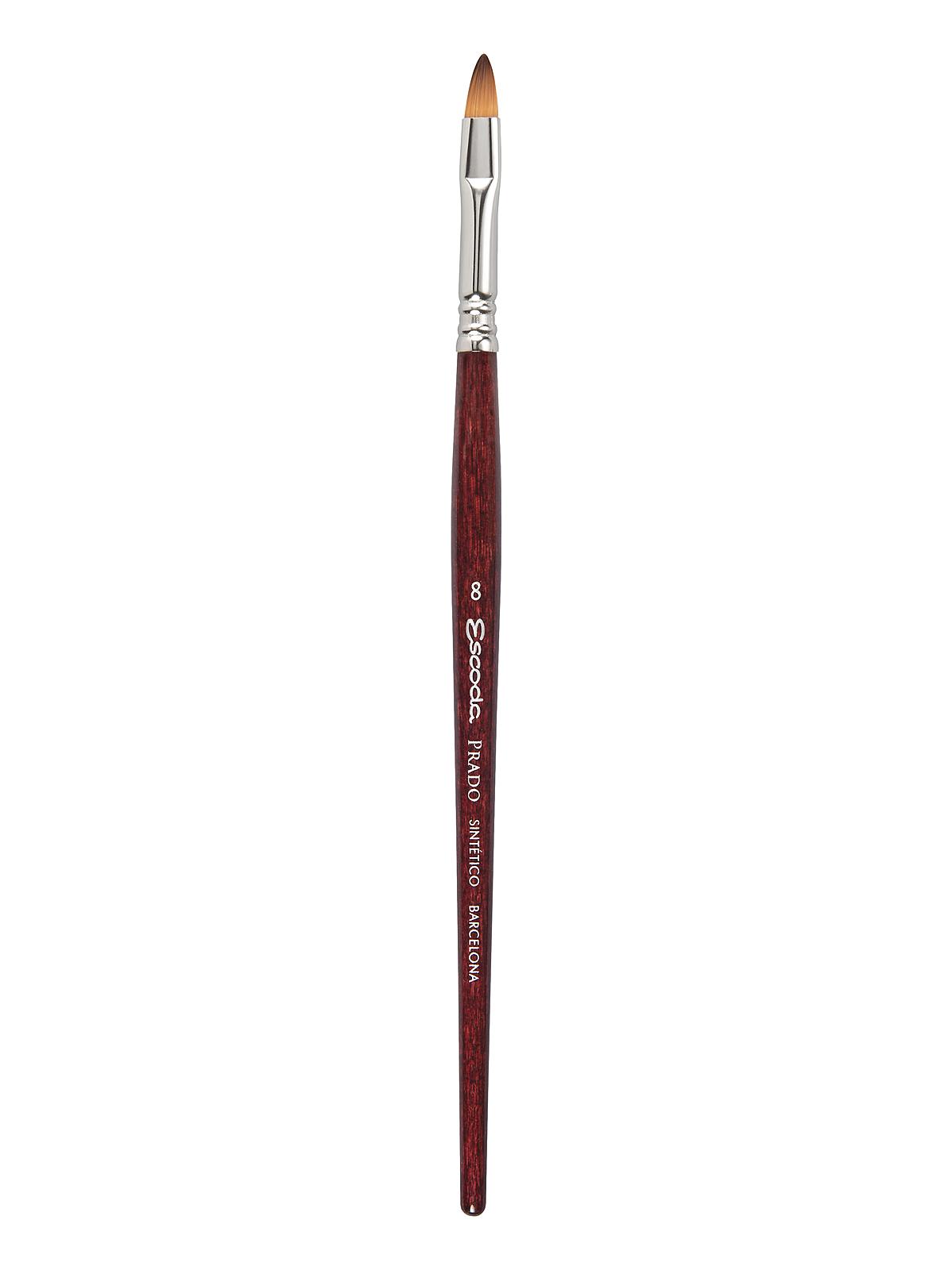 Prado Brushes bright 8