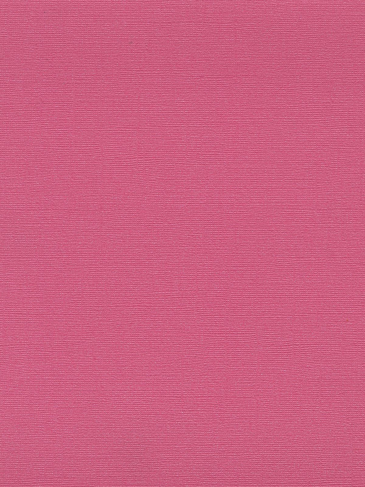 Bling Cardstock 8 1 2 In. X 11 In. Sheet Feather Boa