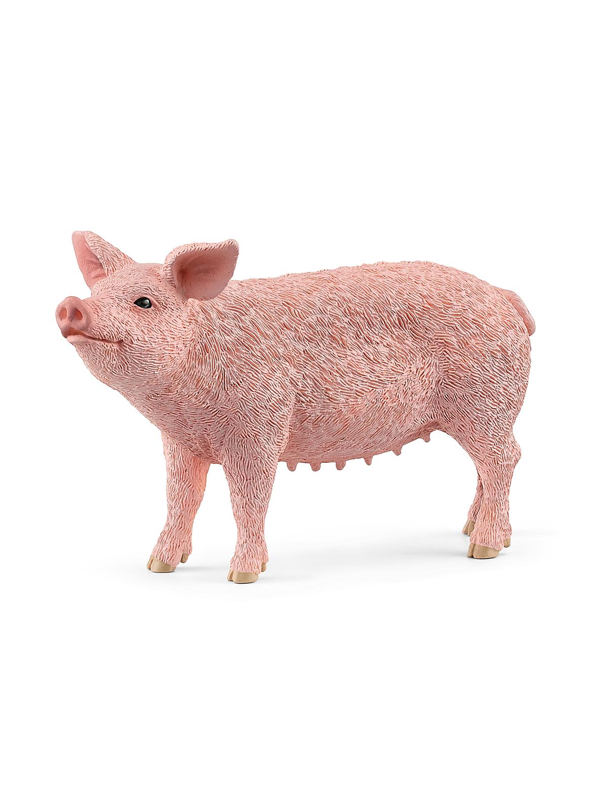 Farm World Animals pig
