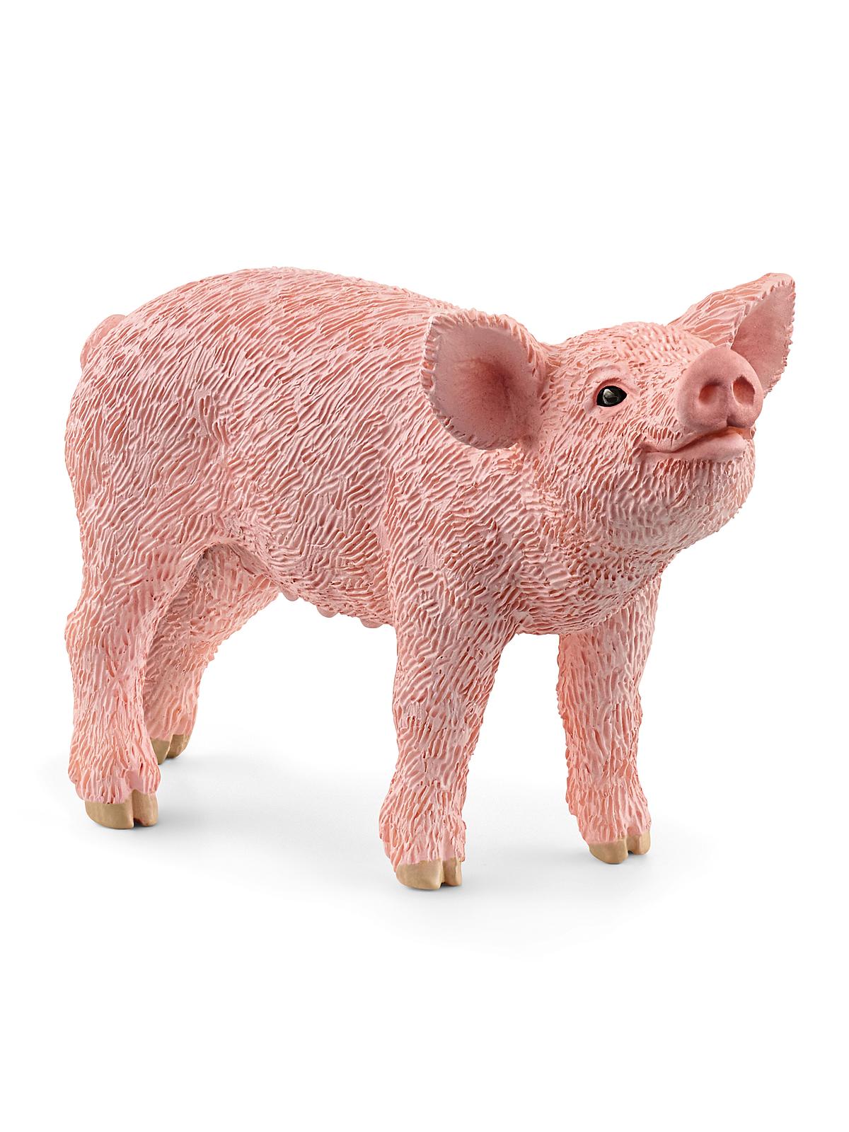 Farm World Animals Piglet