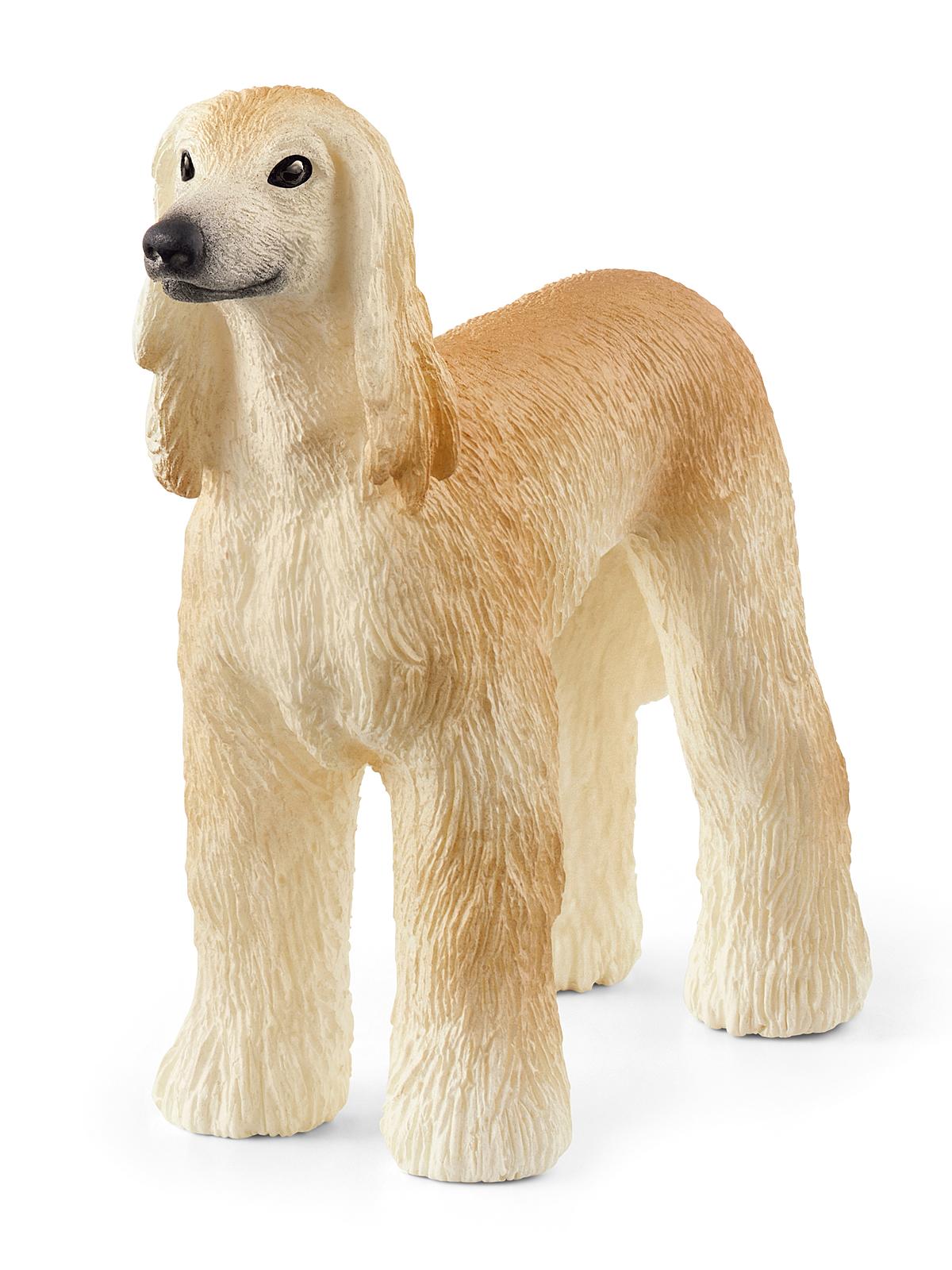 Farm World Animals Afghan Hound