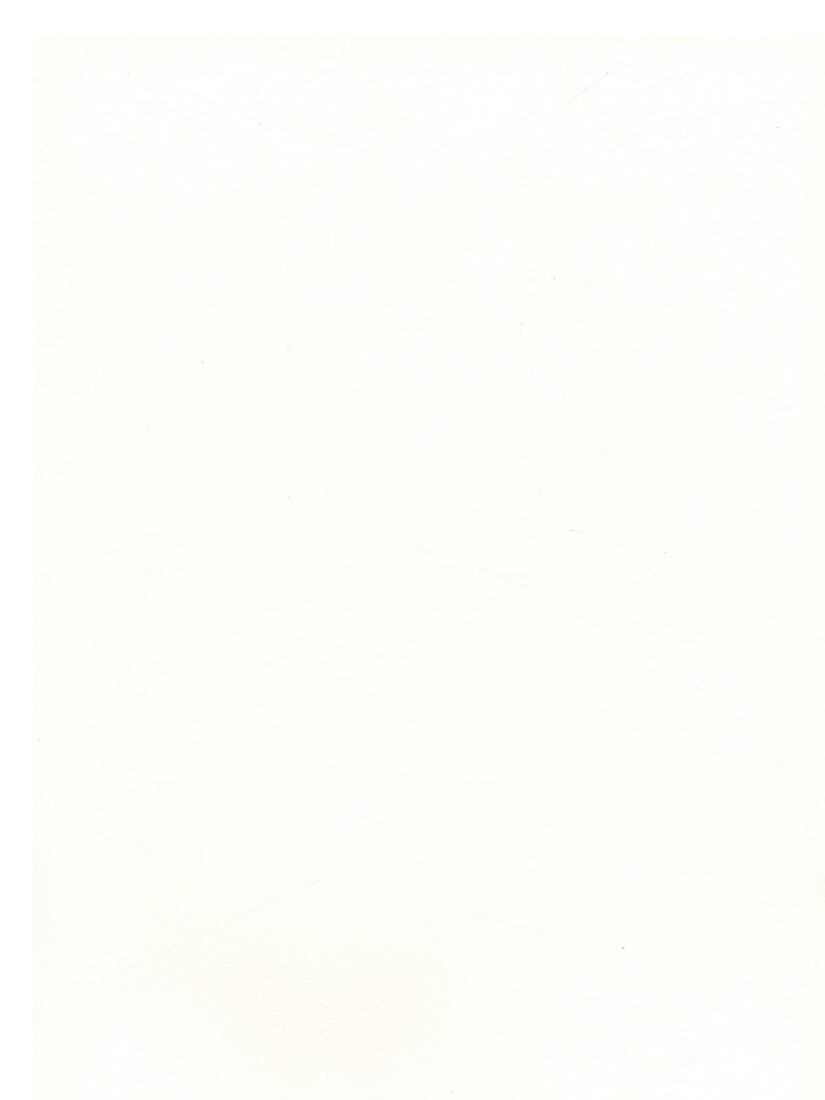 400 Series Heavyweight Printmaking Paper 22 in. x 30 in. sheet