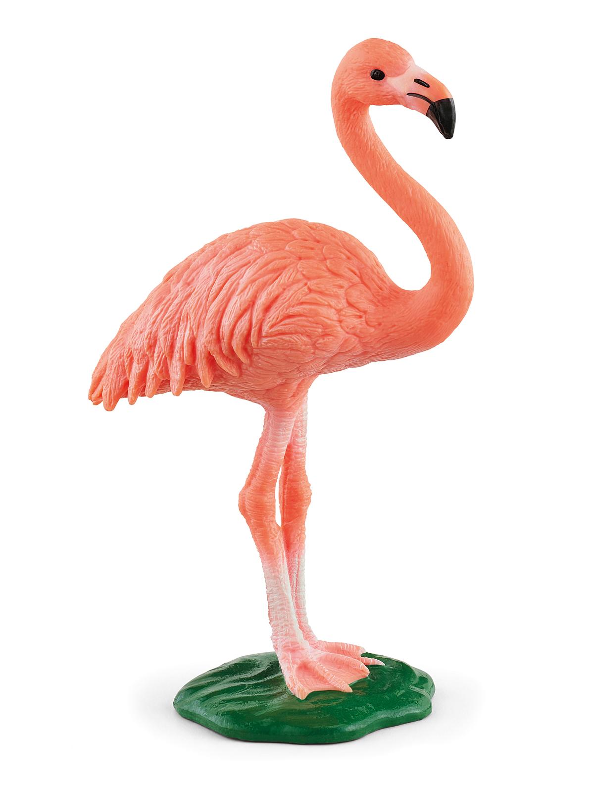 Wild Life Animals flamingo