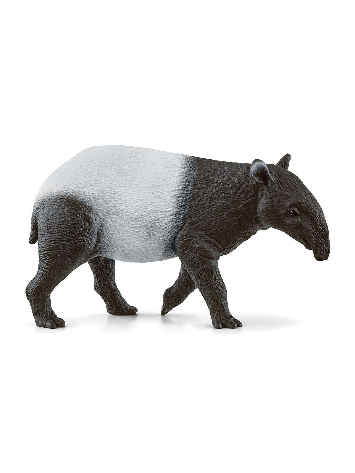 Wild Life Animals Tapir