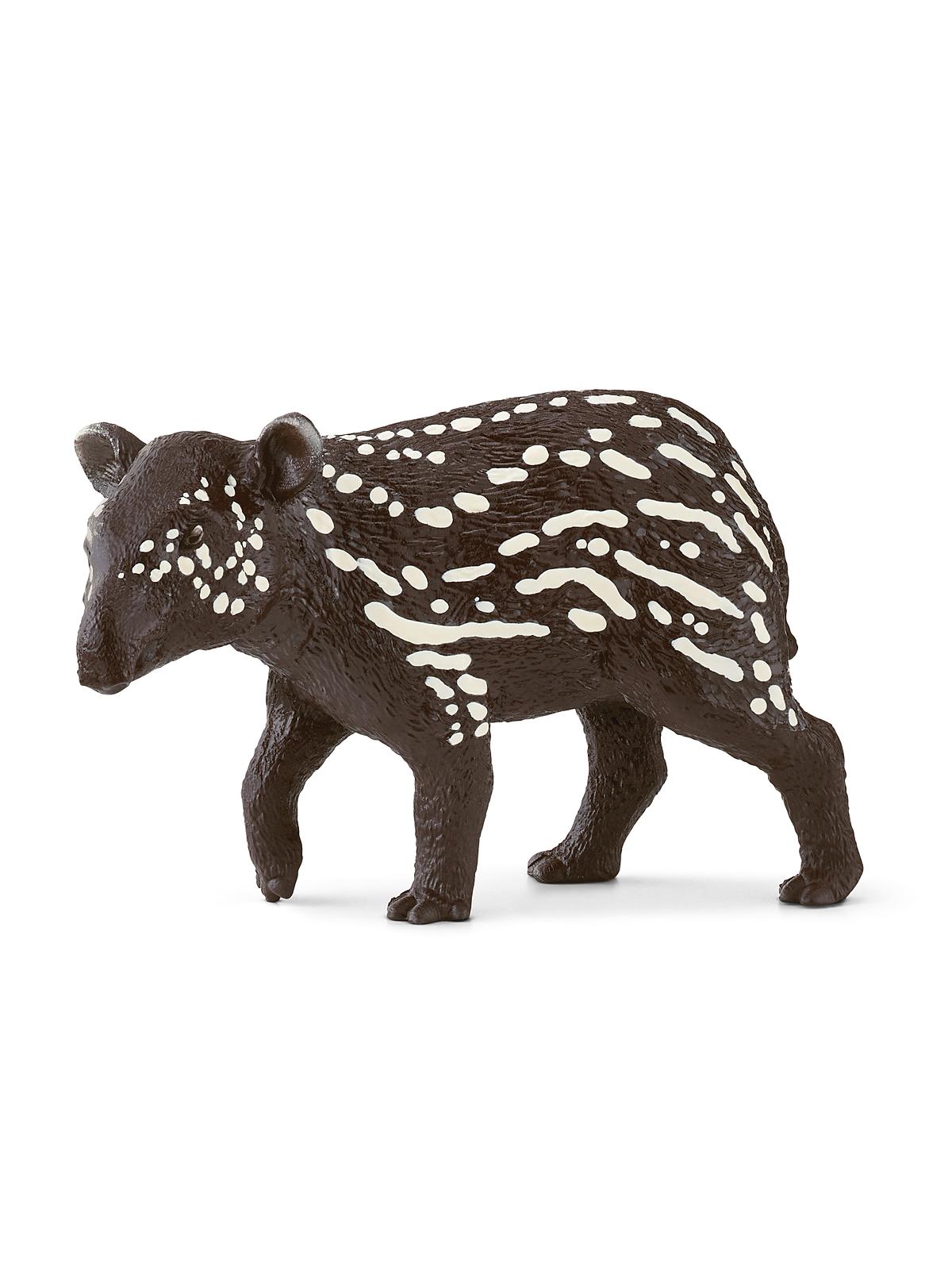 Wild Life Animals Tapir Baby