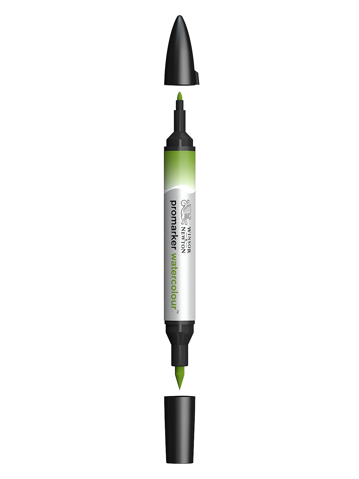 Promarker Watercolour sap green 599
