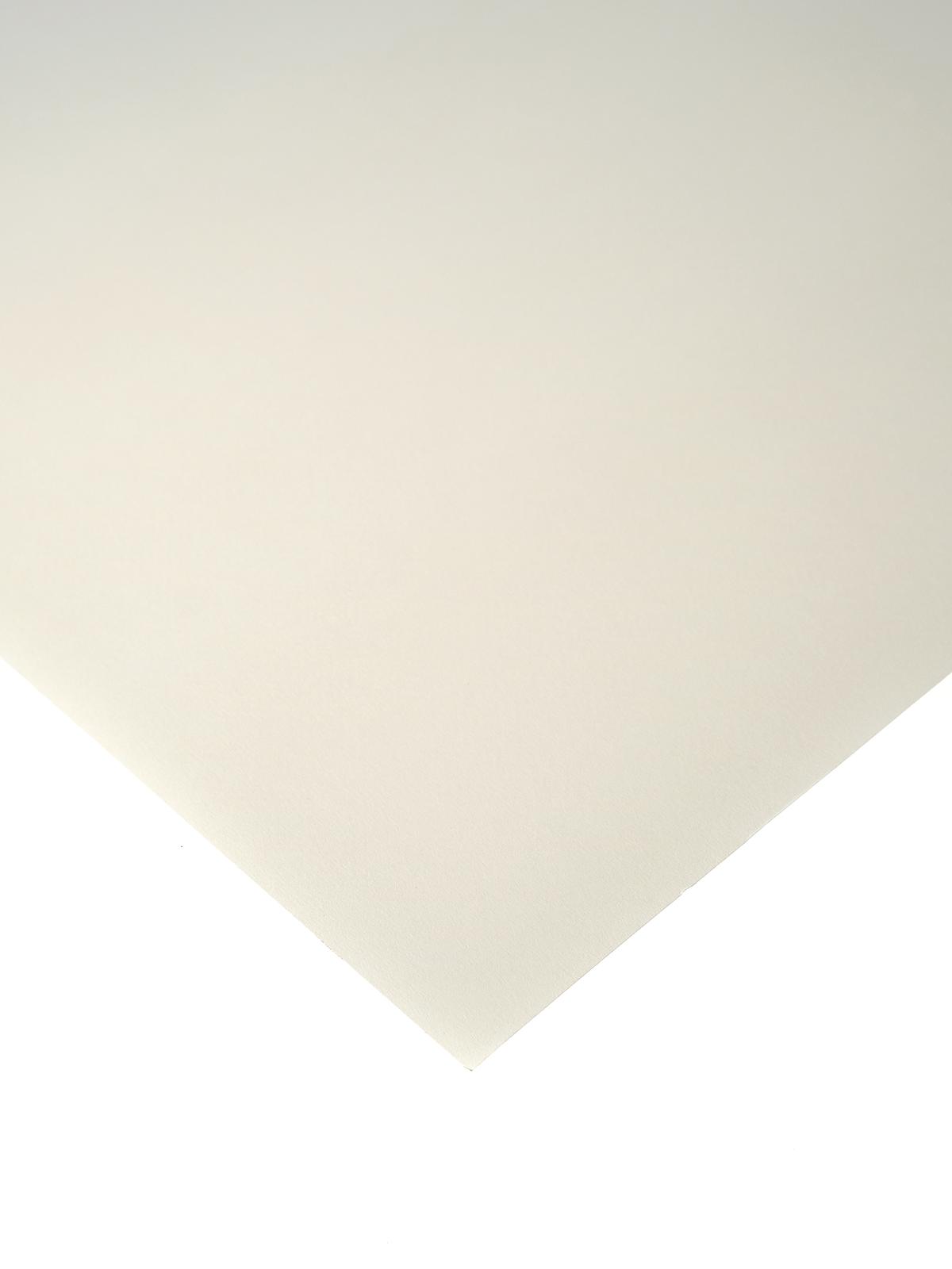 Mi-Teintes Tinted Paper lily 19 in. x 25 in.
