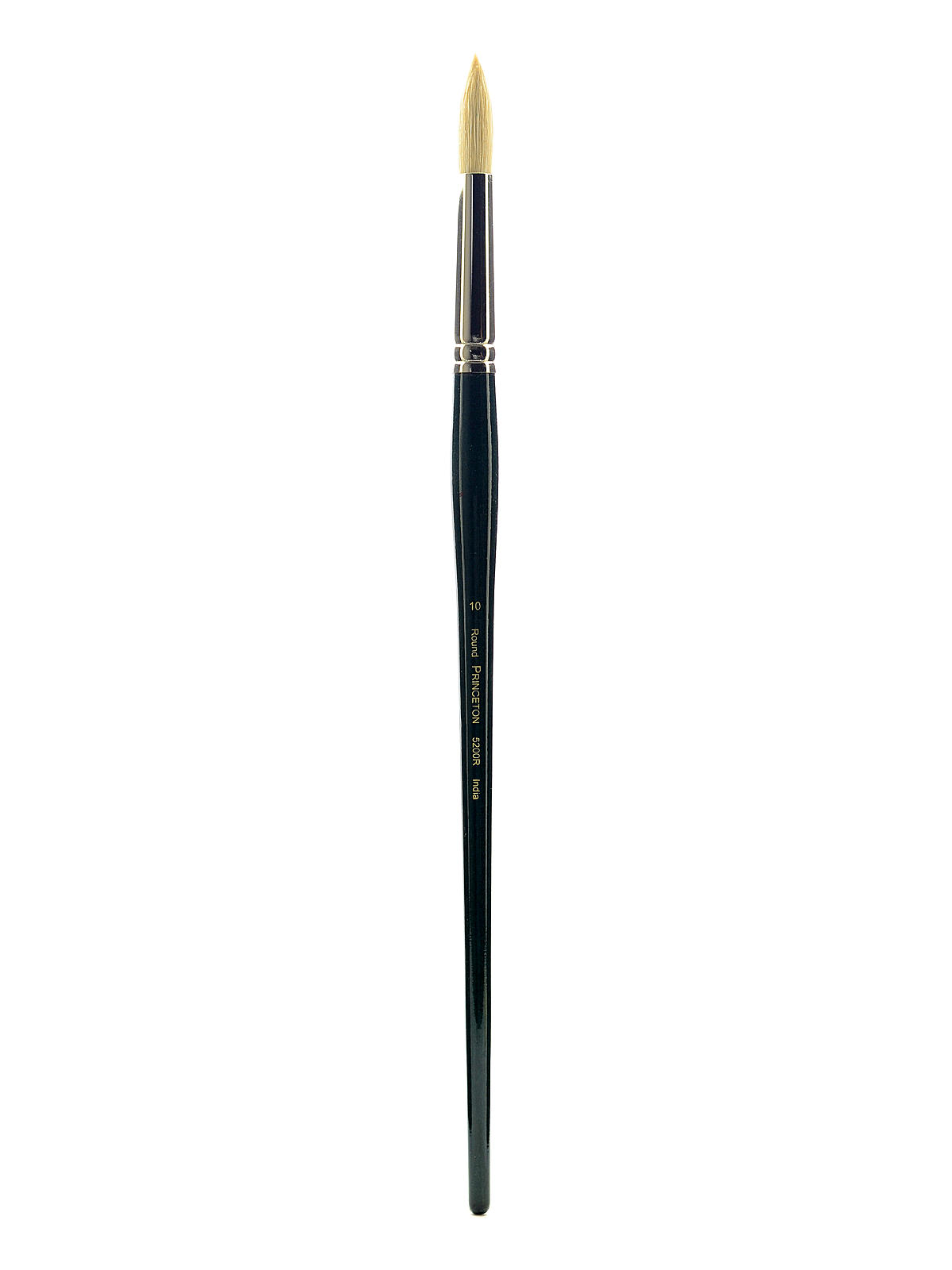 Series 5200 Ashley Long Handle Bristle Brushes 10 round