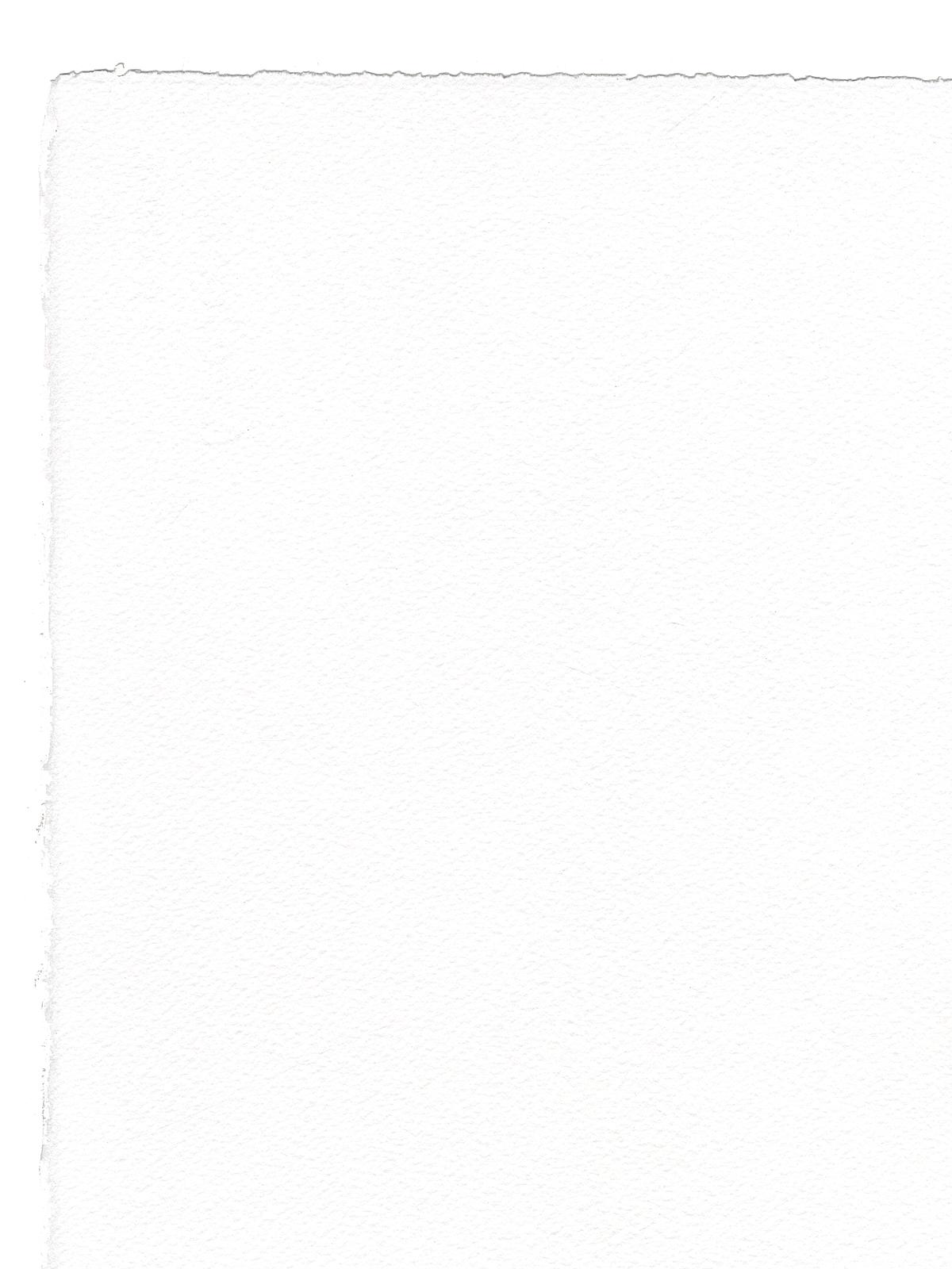 Watercolor Paper 140 Lb. Rough White 22 In. X 30 In. Sheet