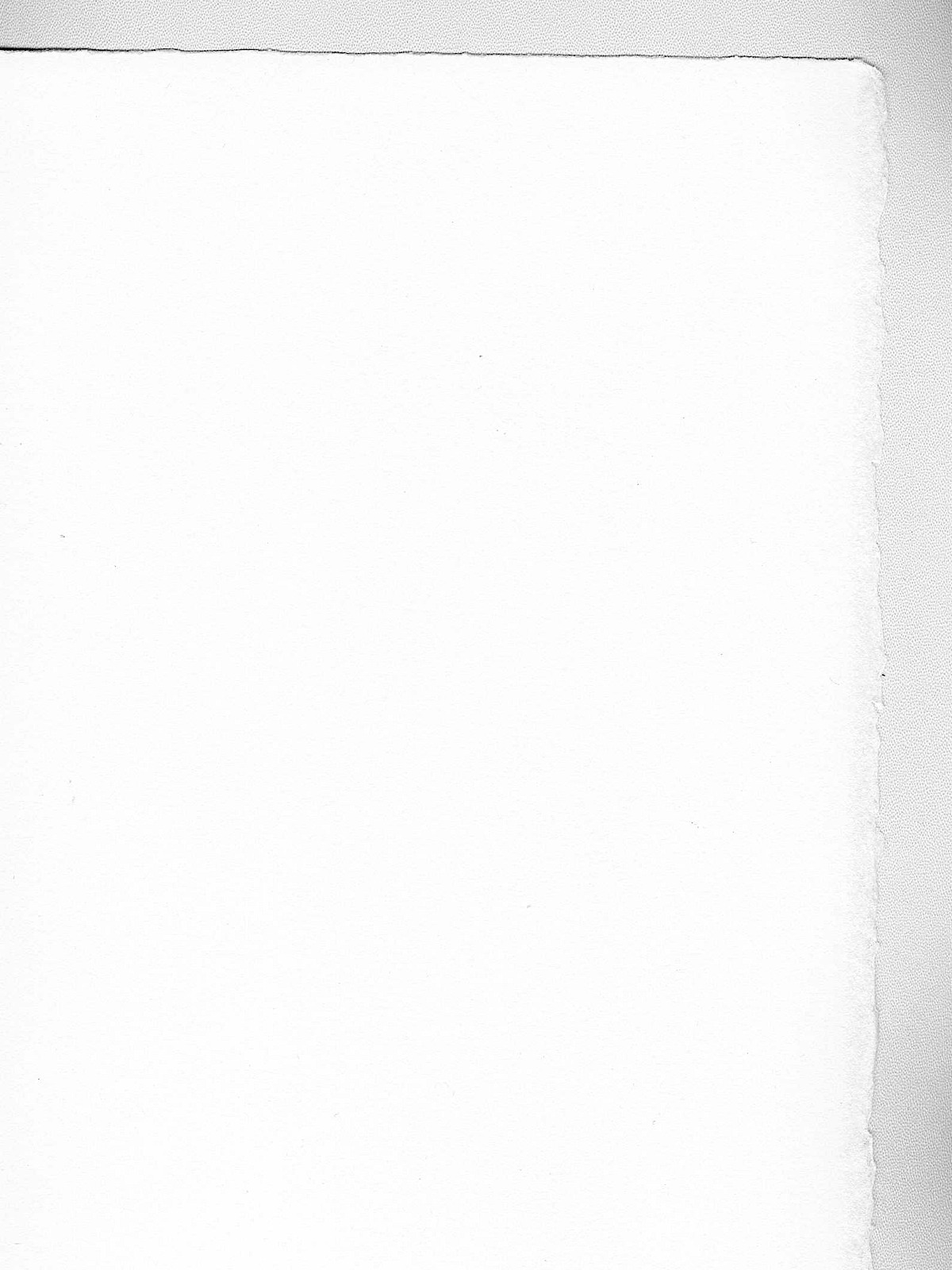 Watercolor Paper 1114 Lb. Cold Press White 40 In. X 60 In. Sheet