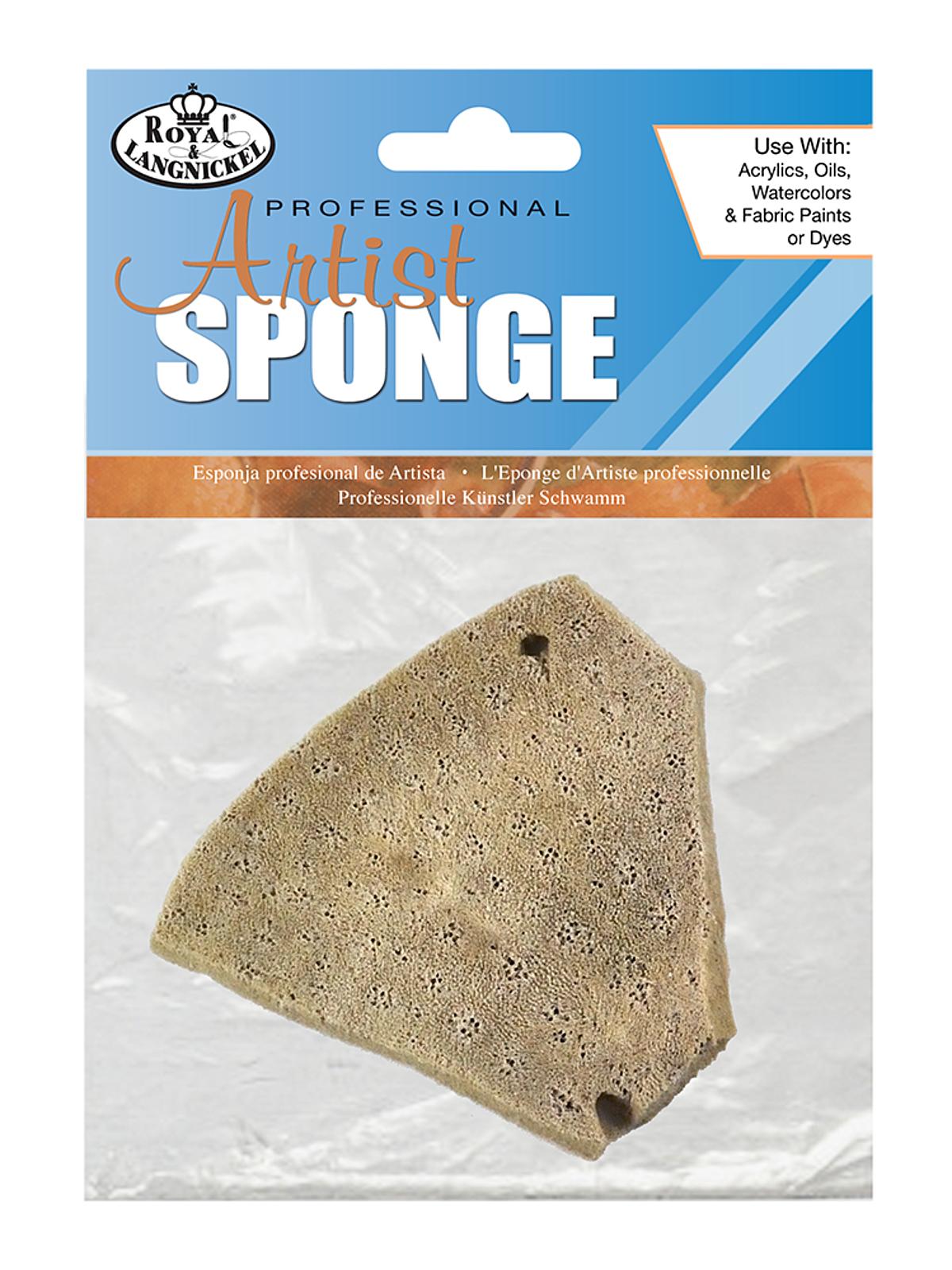 Natural Sponges Elephant Ear Sponge 3 1 2 In. X 4 In.