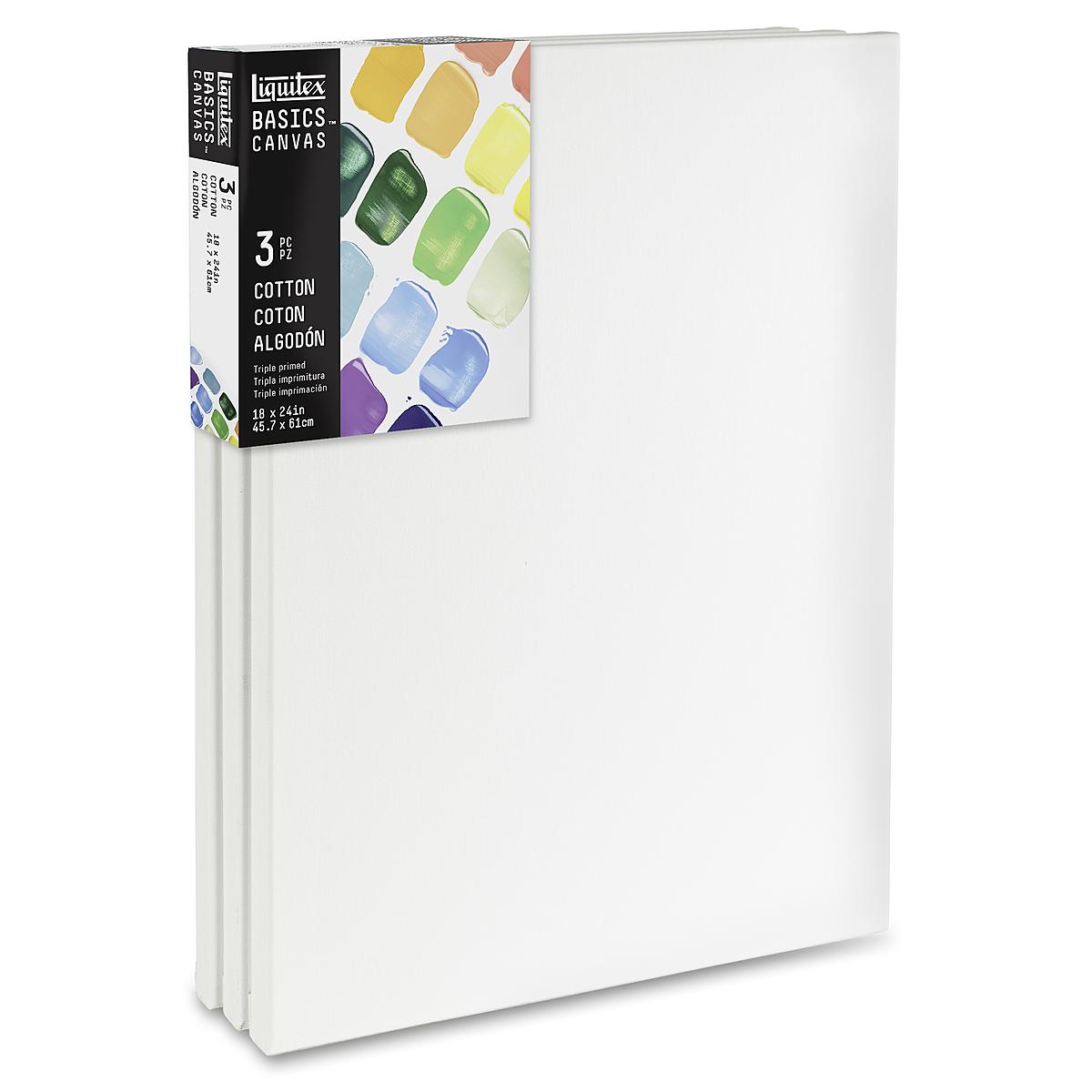 BASICS Stretched Canvas 18 in. x 24 in. pack of 3