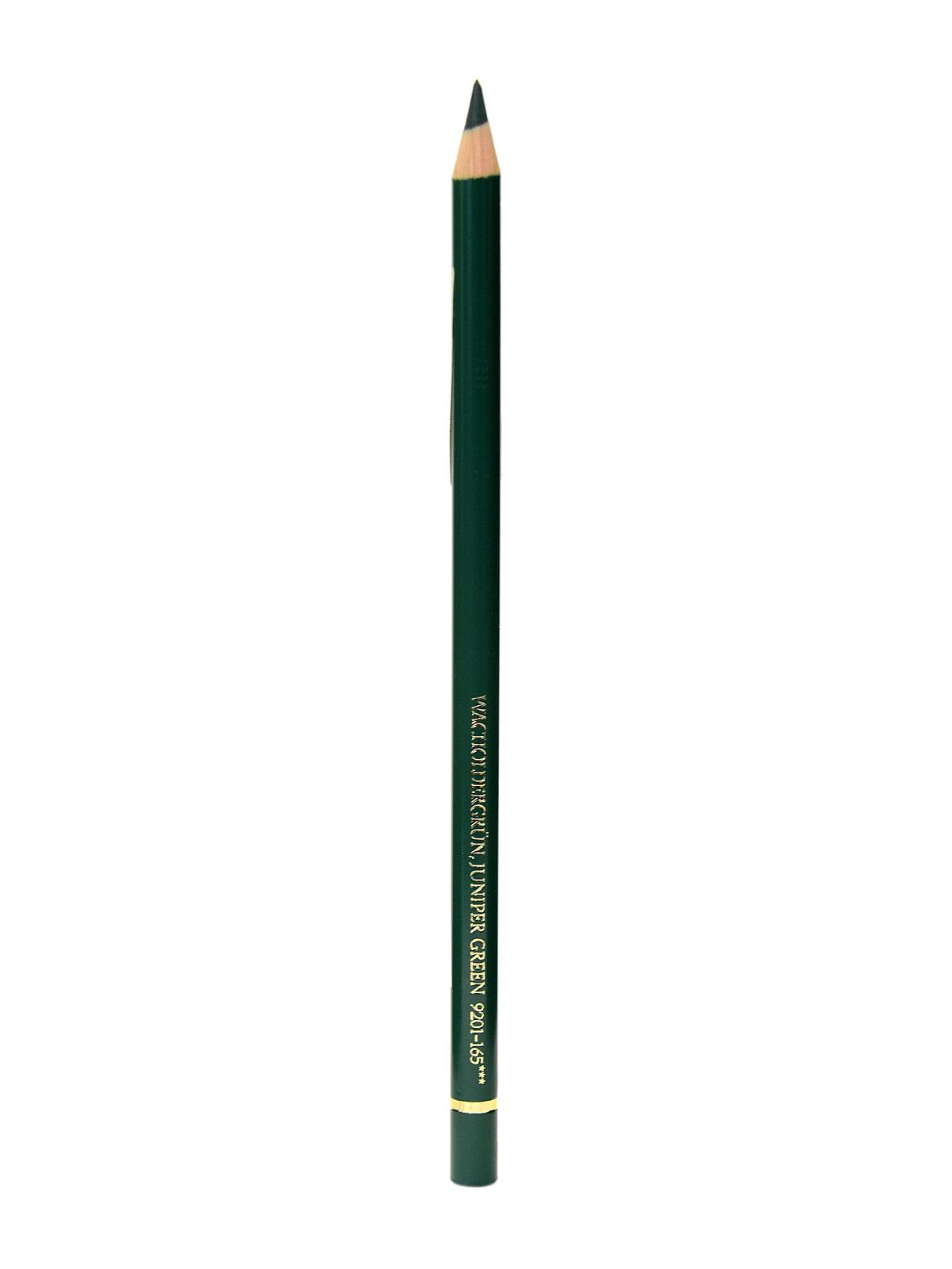 Polychromos Artist Colored Pencils (each) Juniper Green 165
