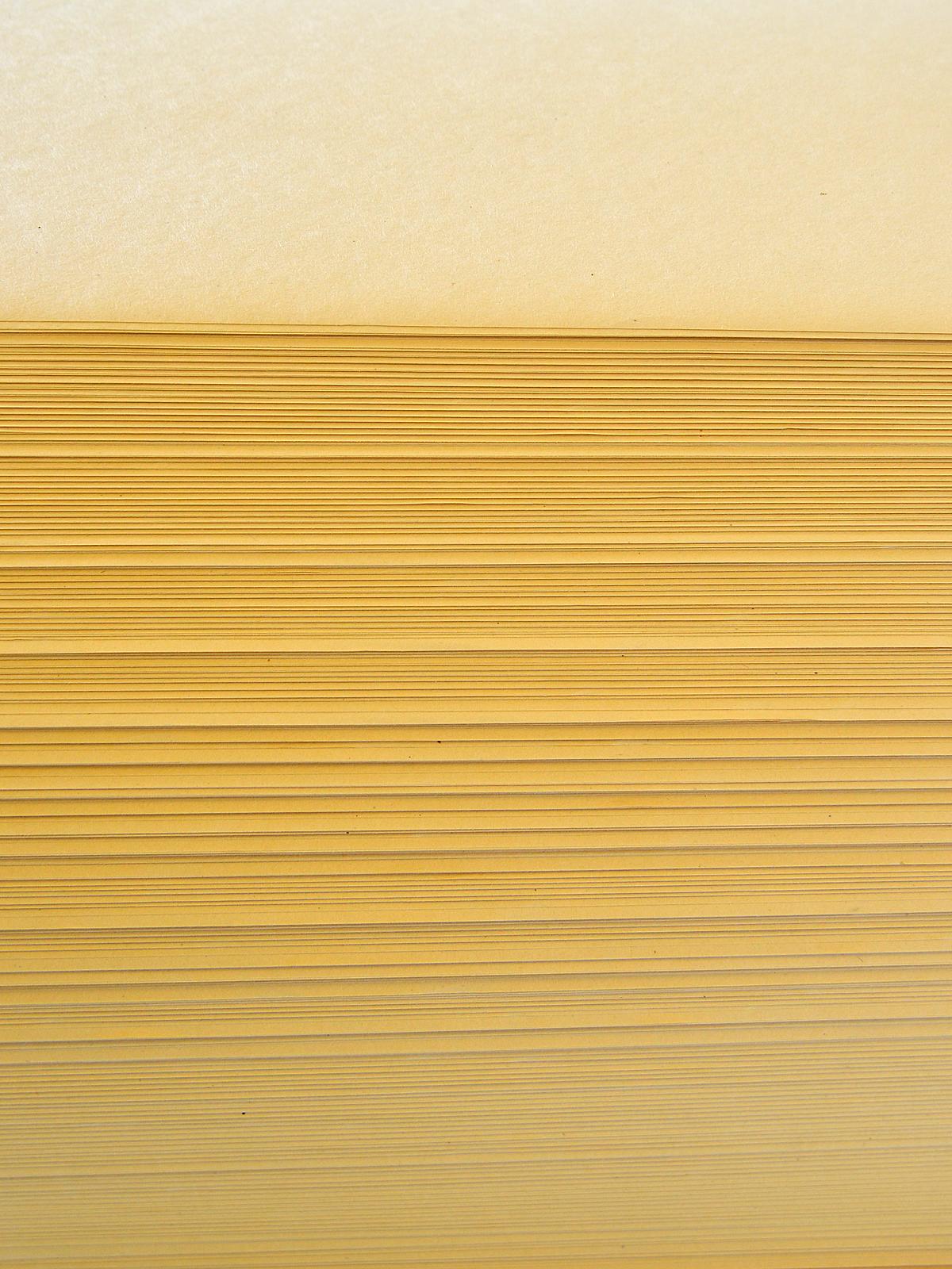 Manila Paper 18 In. X 24 In.