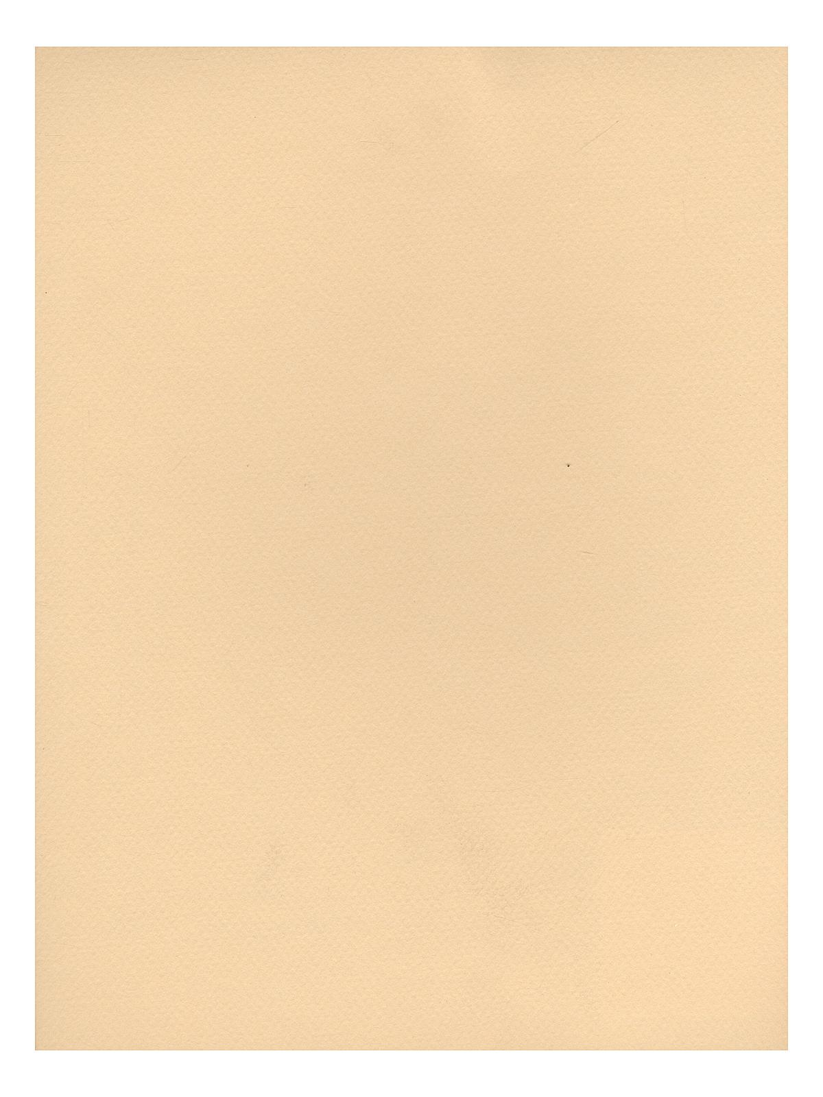 Mi-teintes Tinted Paper Cream 8.5 In. X 11 In.