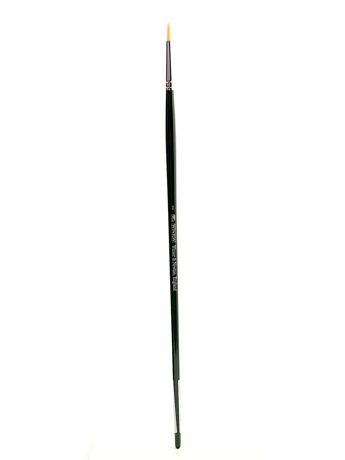 Winton Hog Brushes 2 round
