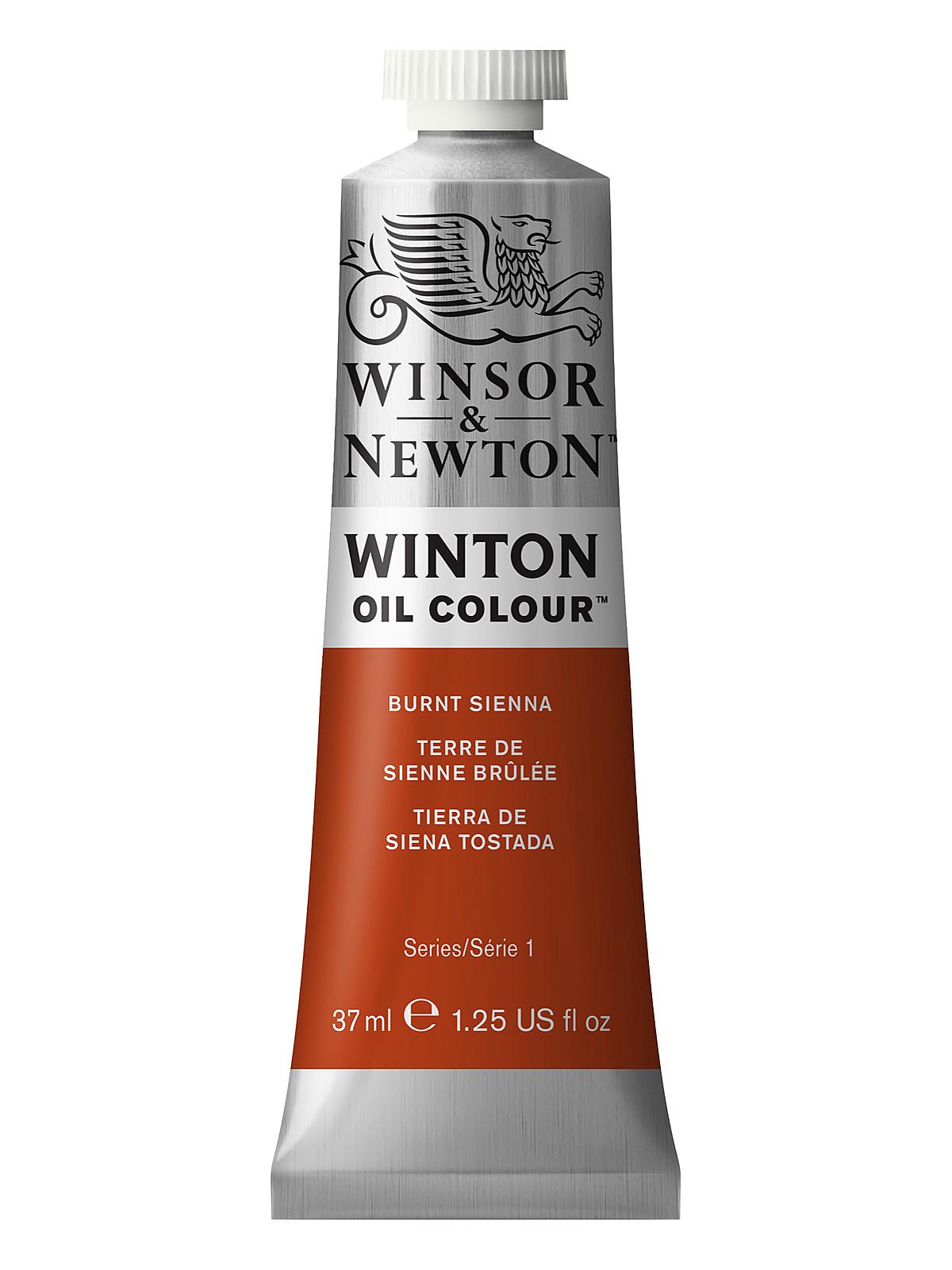 Winton Oil Colours 37 ml burnt sienna 74