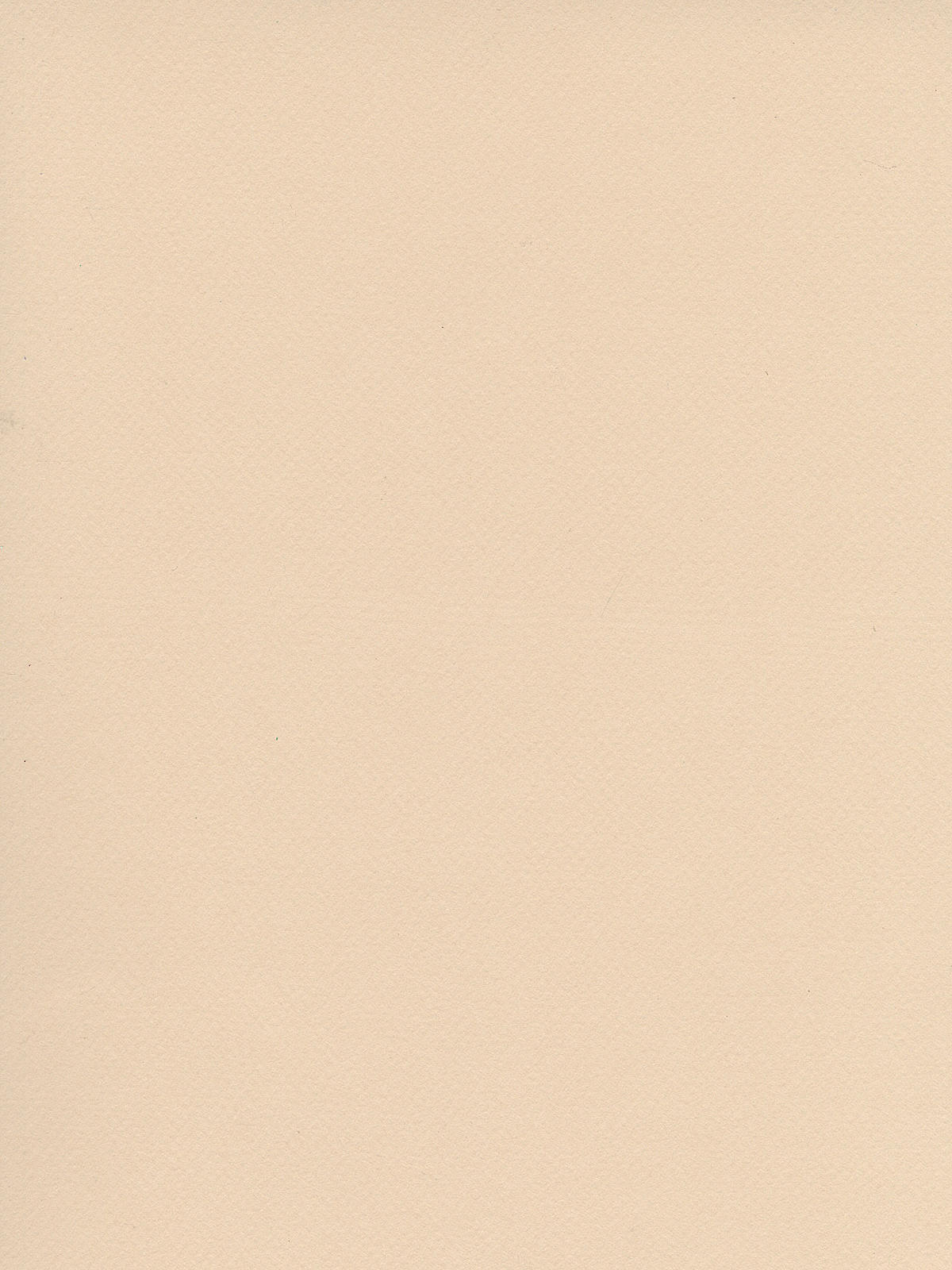 Mi-teintes Tinted Paper Egg Shell 19 In. X 25 In.