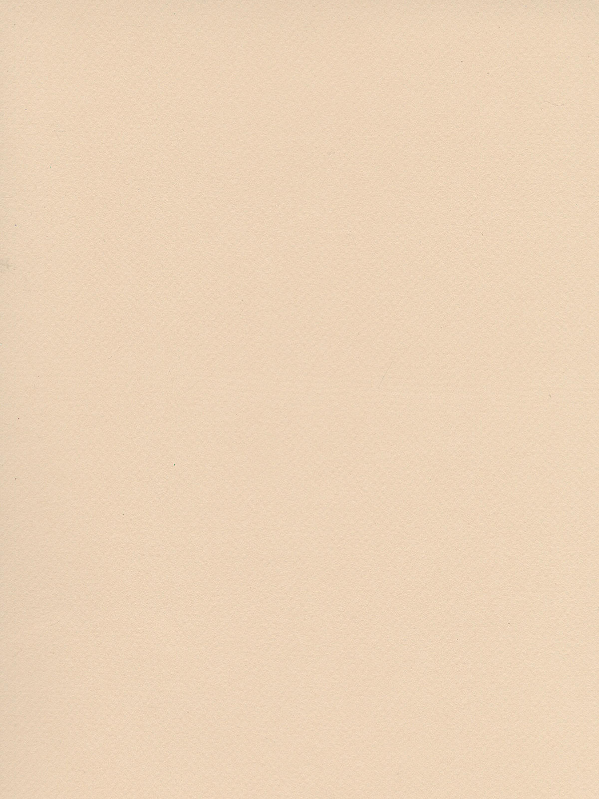 Mi-Teintes Tinted Paper egg shell 19 in. x 25 in.