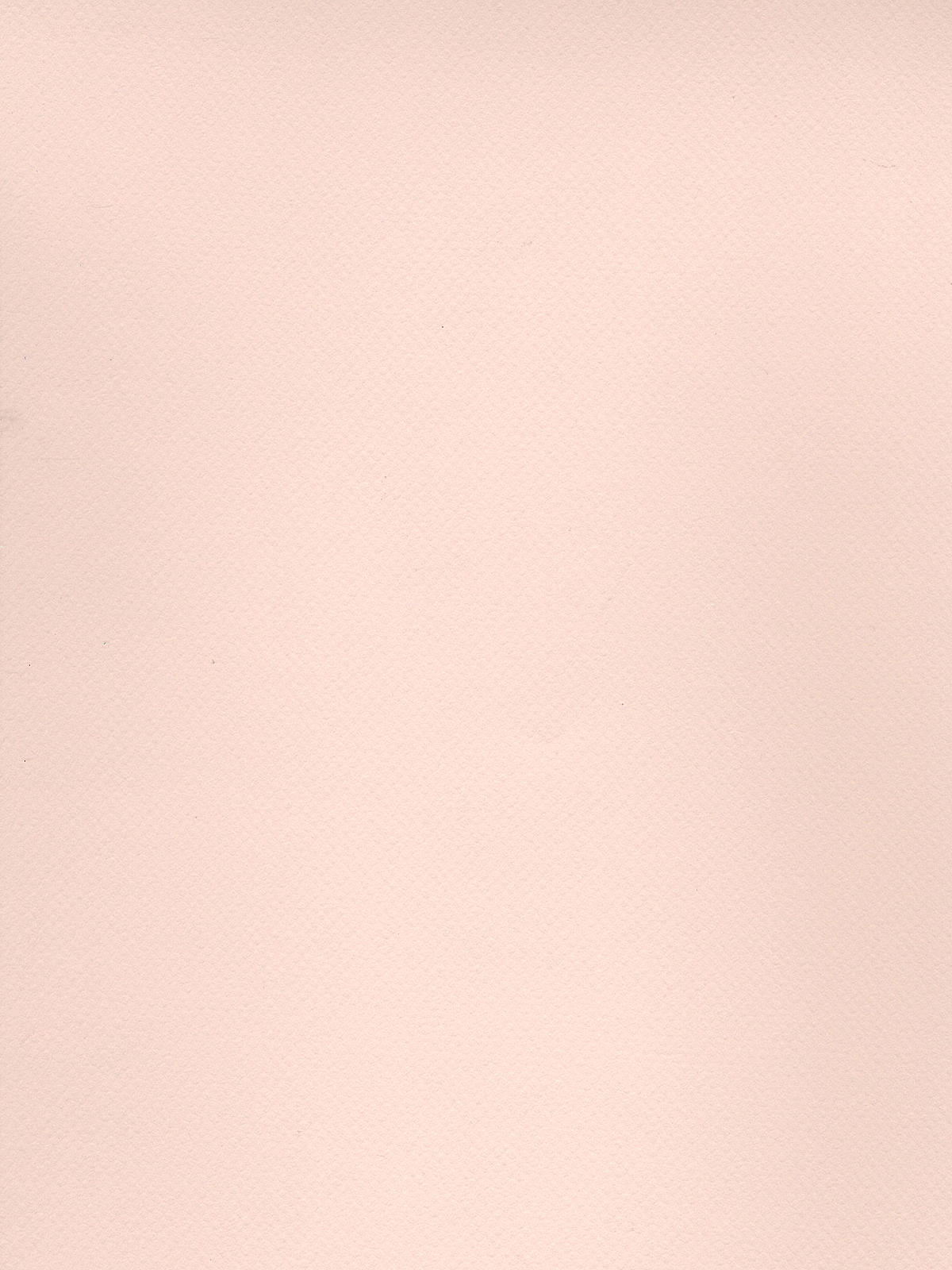 Mi-teintes Tinted Paper Dawn Pink 19 In. X 25 In.