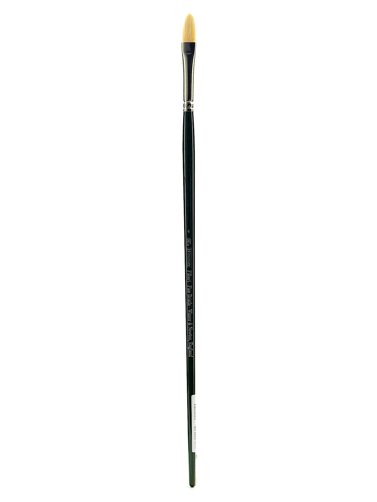Winton Hog Brushes 4 filbert