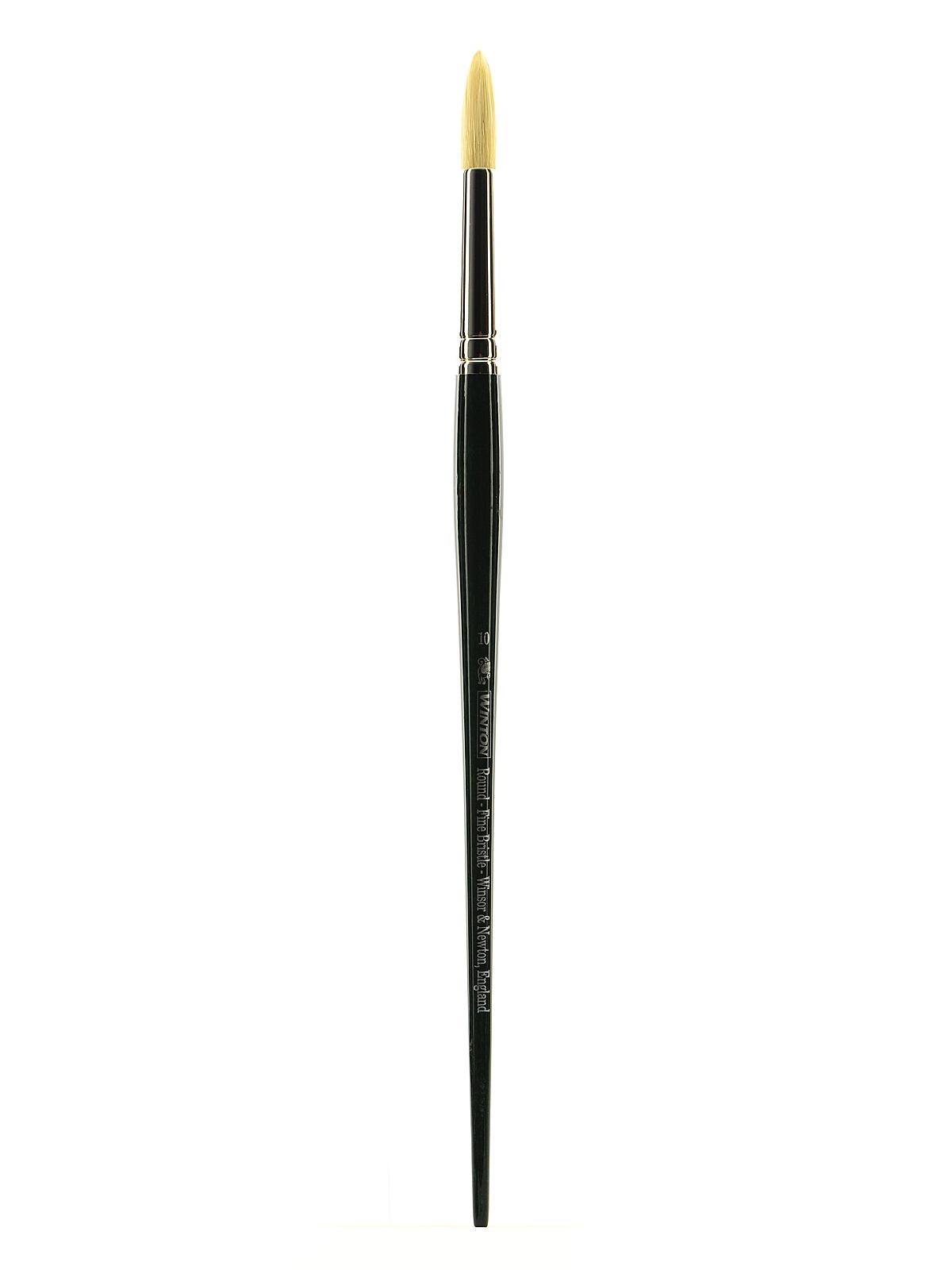 Winton Hog Brushes 10 round
