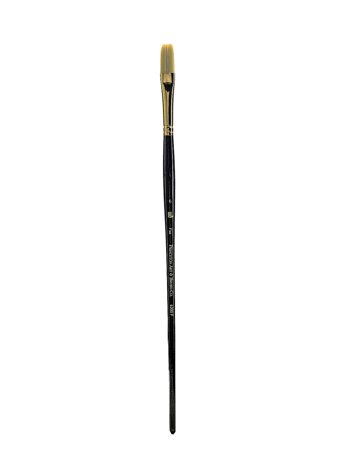 Series 6300 Dakota Synthetic Bristle Long Handle Brushes 6 flat