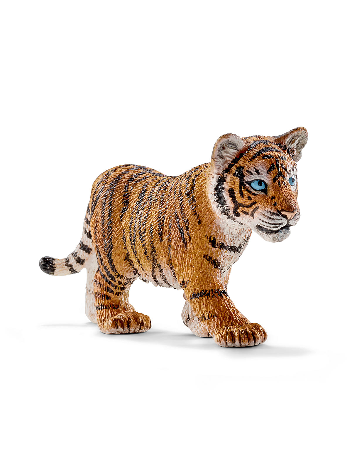 Wild Life Animals Tiger Cub