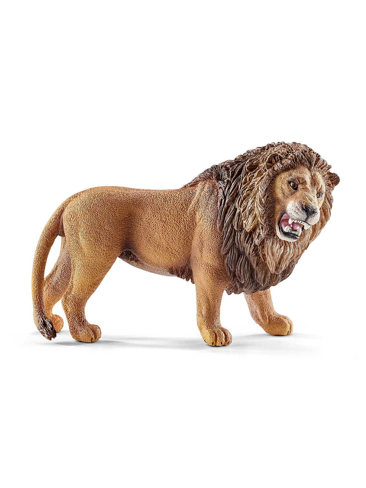 Wild Life Animals Lion, roaring