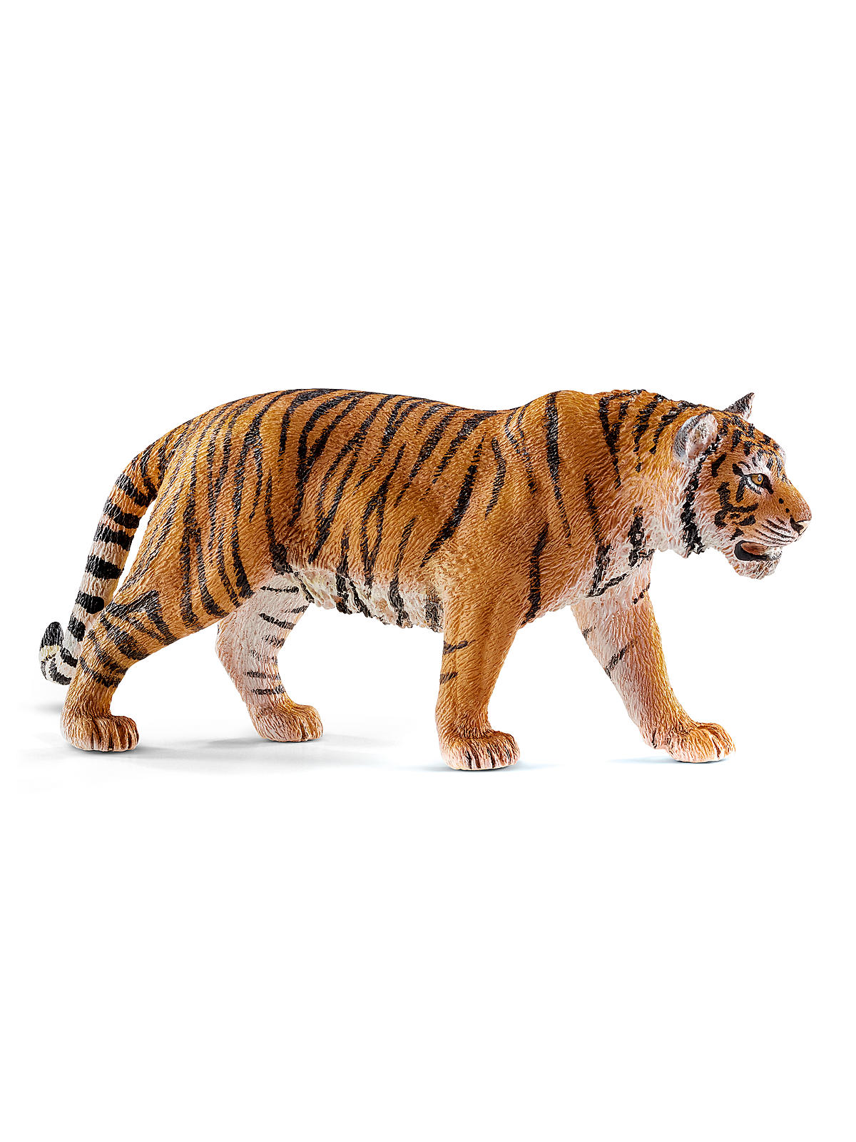 Wild Life Animals Tiger