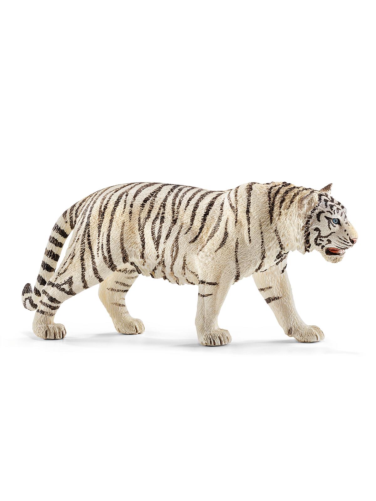 Wild Life Animals Tiger, White