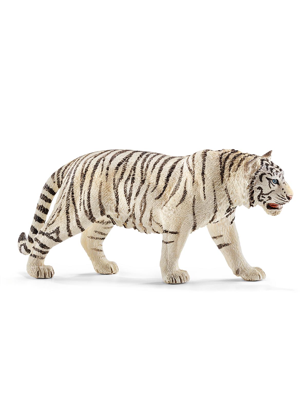 Wild Life Animals Tiger, white