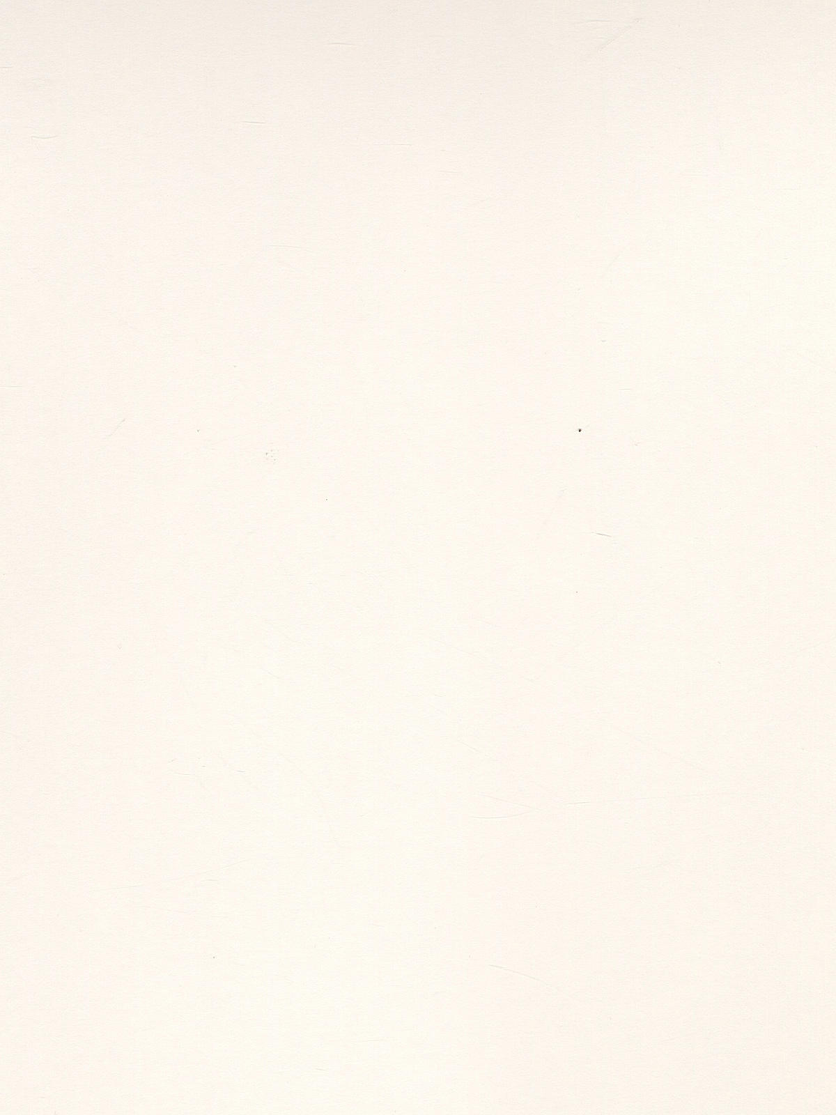 Bristol Sheets smooth 18 in. x 24 in.