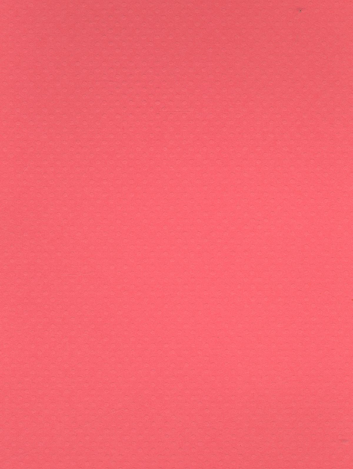 Dotted Swiss 80 Lb. Cardstock 8 1 2 In. X 11 In. Sheet Coral Reef