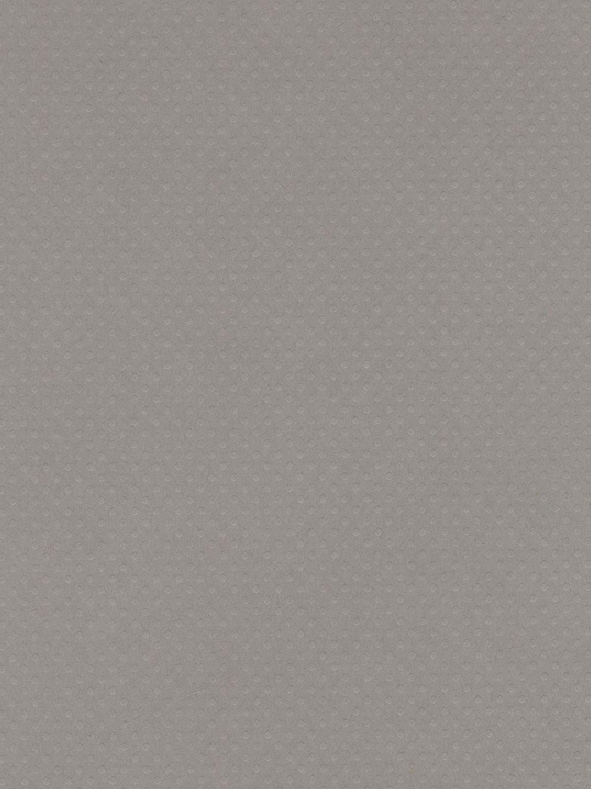 Dotted Swiss 80 Lb. Cardstock 8 1 2 In. X 11 In. Sheet Front Porch